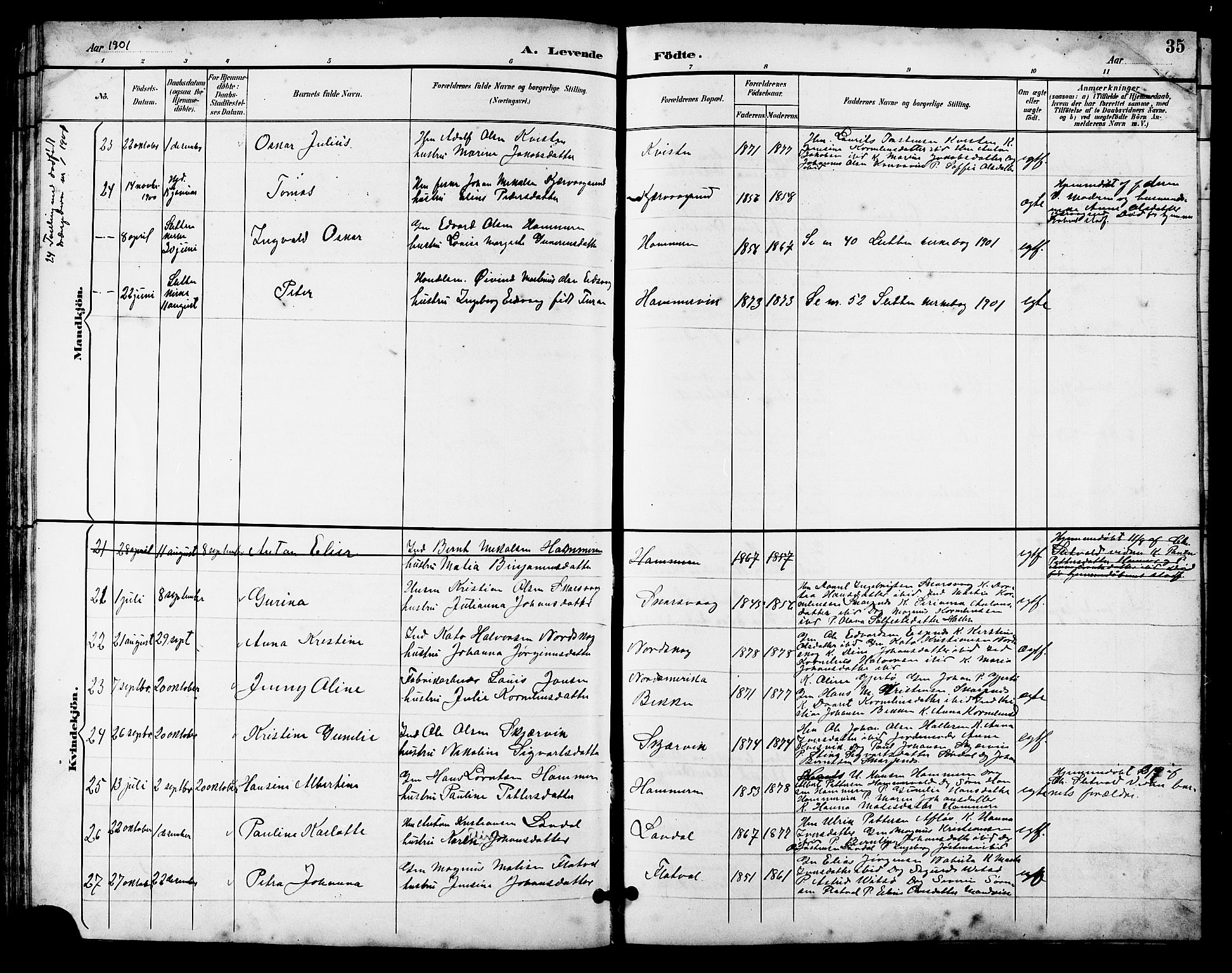 Ministerialprotokoller, klokkerbøker og fødselsregistre - Sør-Trøndelag, SAT/A-1456/641/L0598: Parish register (copy) no. 641C02, 1893-1910, p. 35