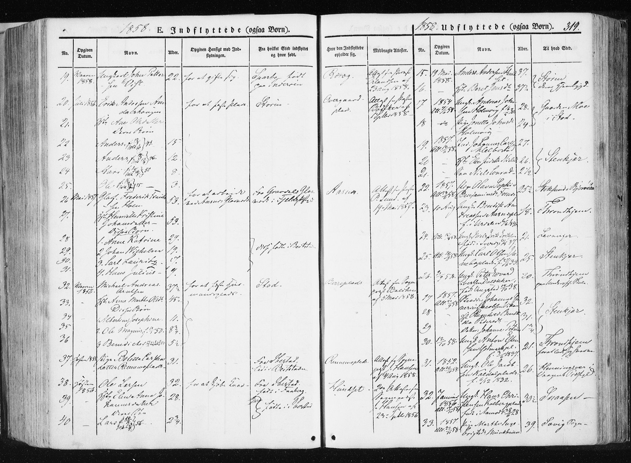 Ministerialprotokoller, klokkerbøker og fødselsregistre - Nord-Trøndelag, AV/SAT-A-1458/741/L0393: Parish register (official) no. 741A07, 1849-1863, p. 319