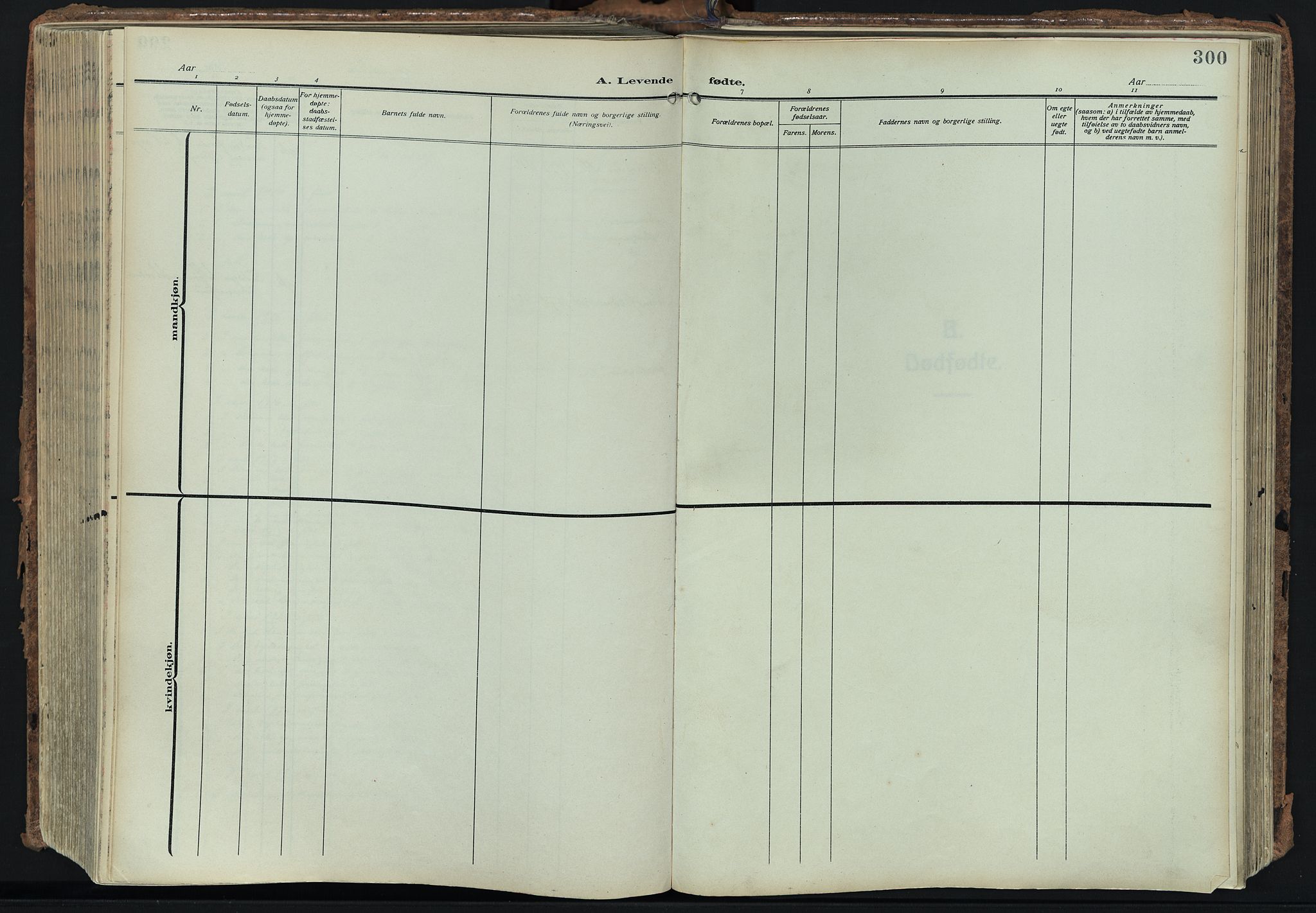 Bragernes kirkebøker, SAKO/A-6/F/Fb/L0010: Parish register (official) no. II 10, 1911-1922, p. 300