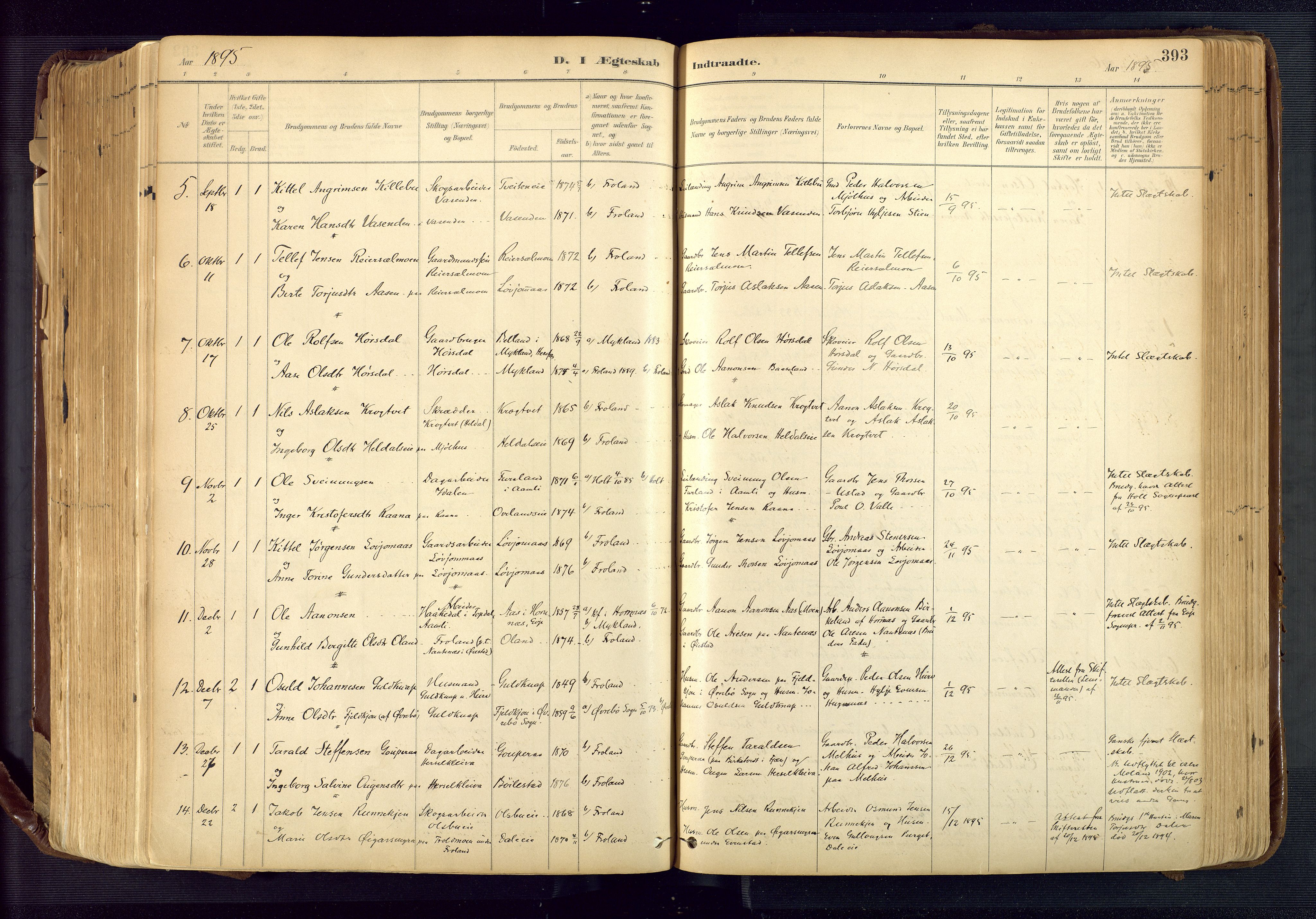 Froland sokneprestkontor, SAK/1111-0013/F/Fa/L0005: Parish register (official) no. A 5, 1882-1921, p. 393