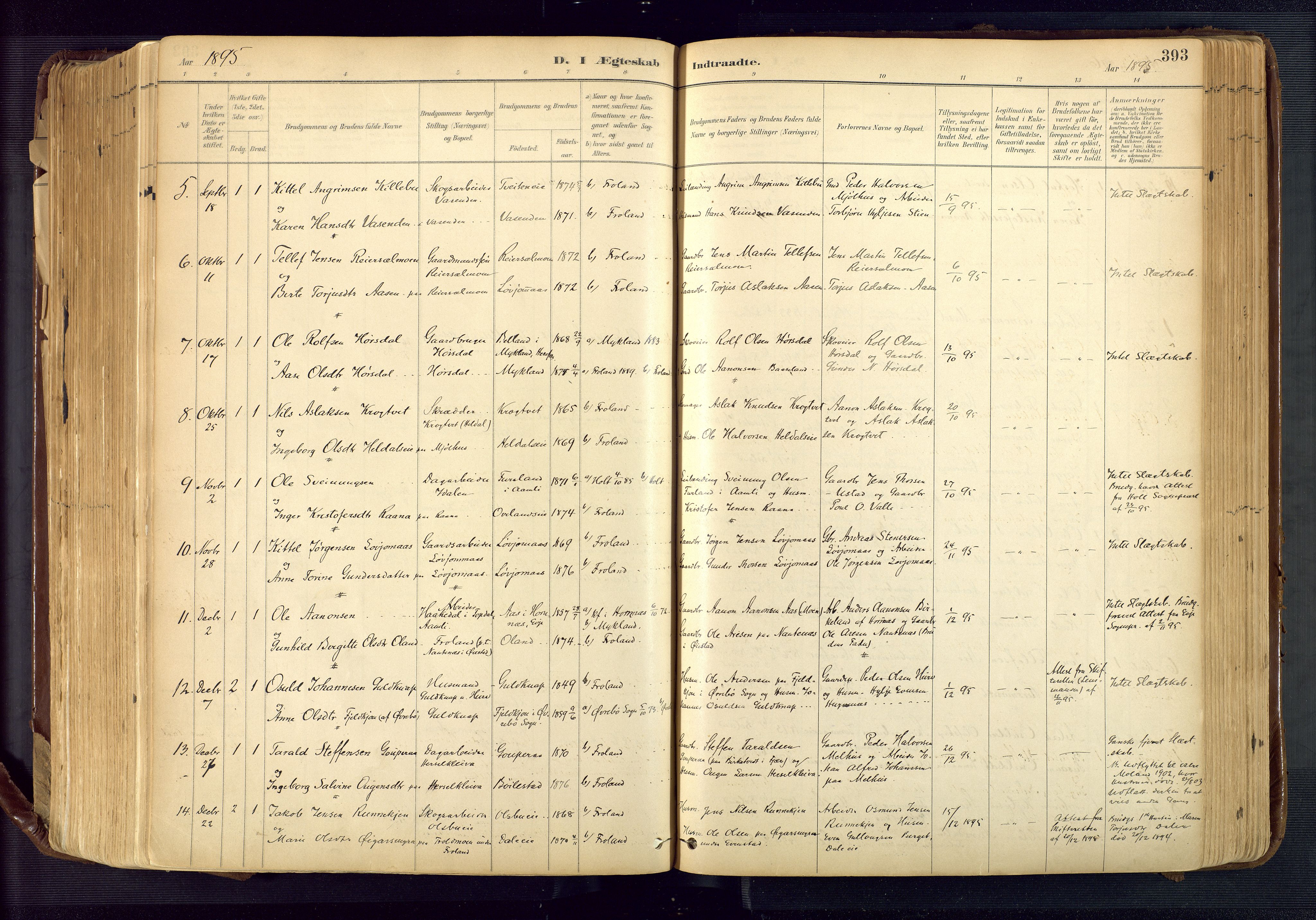 Froland sokneprestkontor, AV/SAK-1111-0013/F/Fa/L0005: Parish register (official) no. A 5, 1882-1921, p. 393