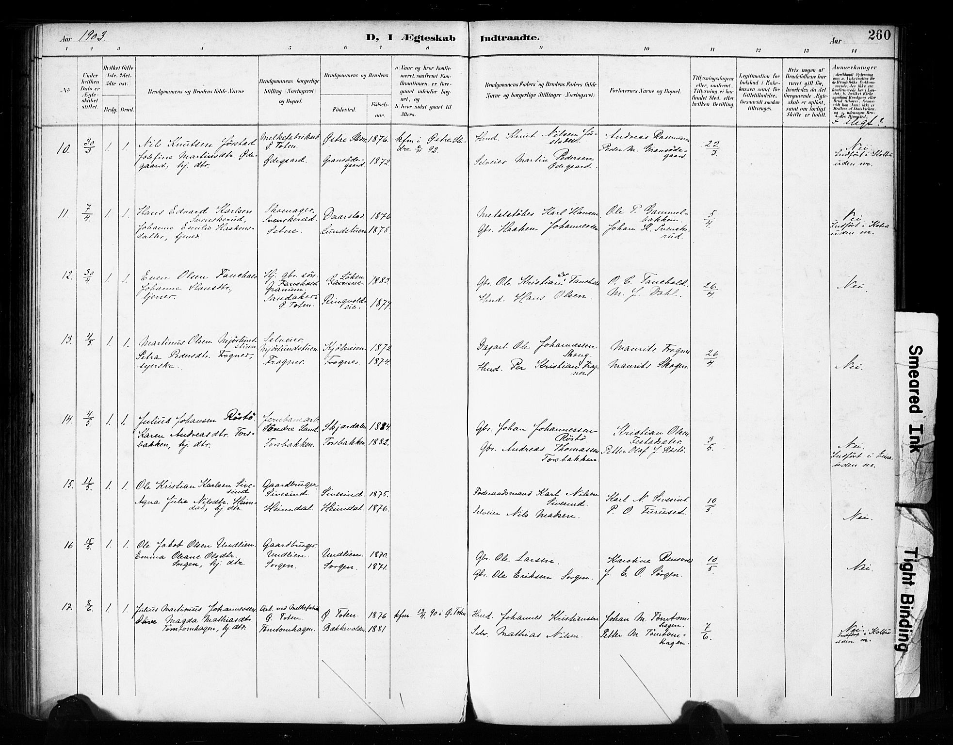 Vestre Toten prestekontor, AV/SAH-PREST-108/H/Ha/Haa/L0011: Parish register (official) no. 11, 1895-1906, p. 260