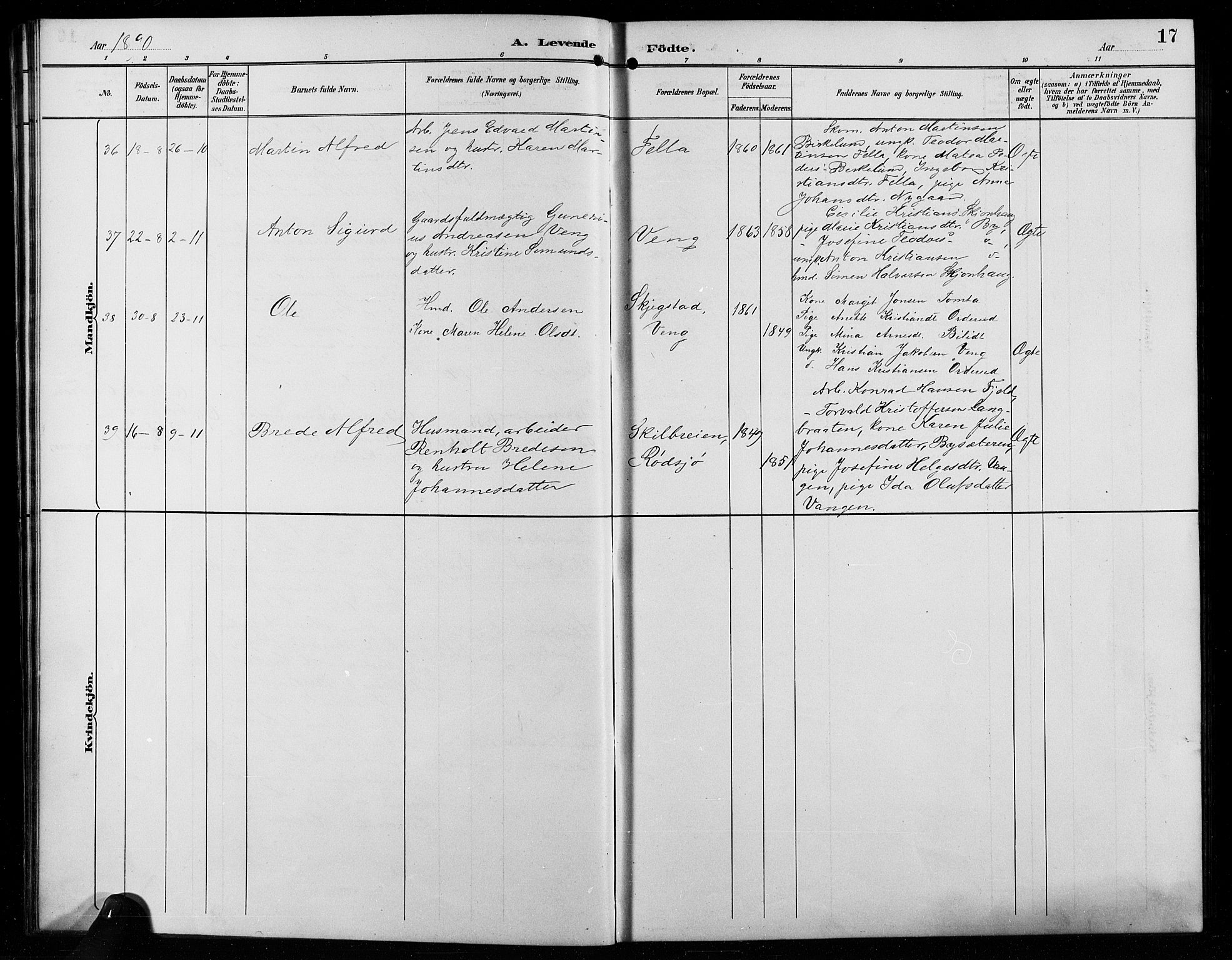 Enebakk prestekontor Kirkebøker, SAO/A-10171c/G/Ga/L0006: Parish register (copy) no. I 6, 1889-1911, p. 17