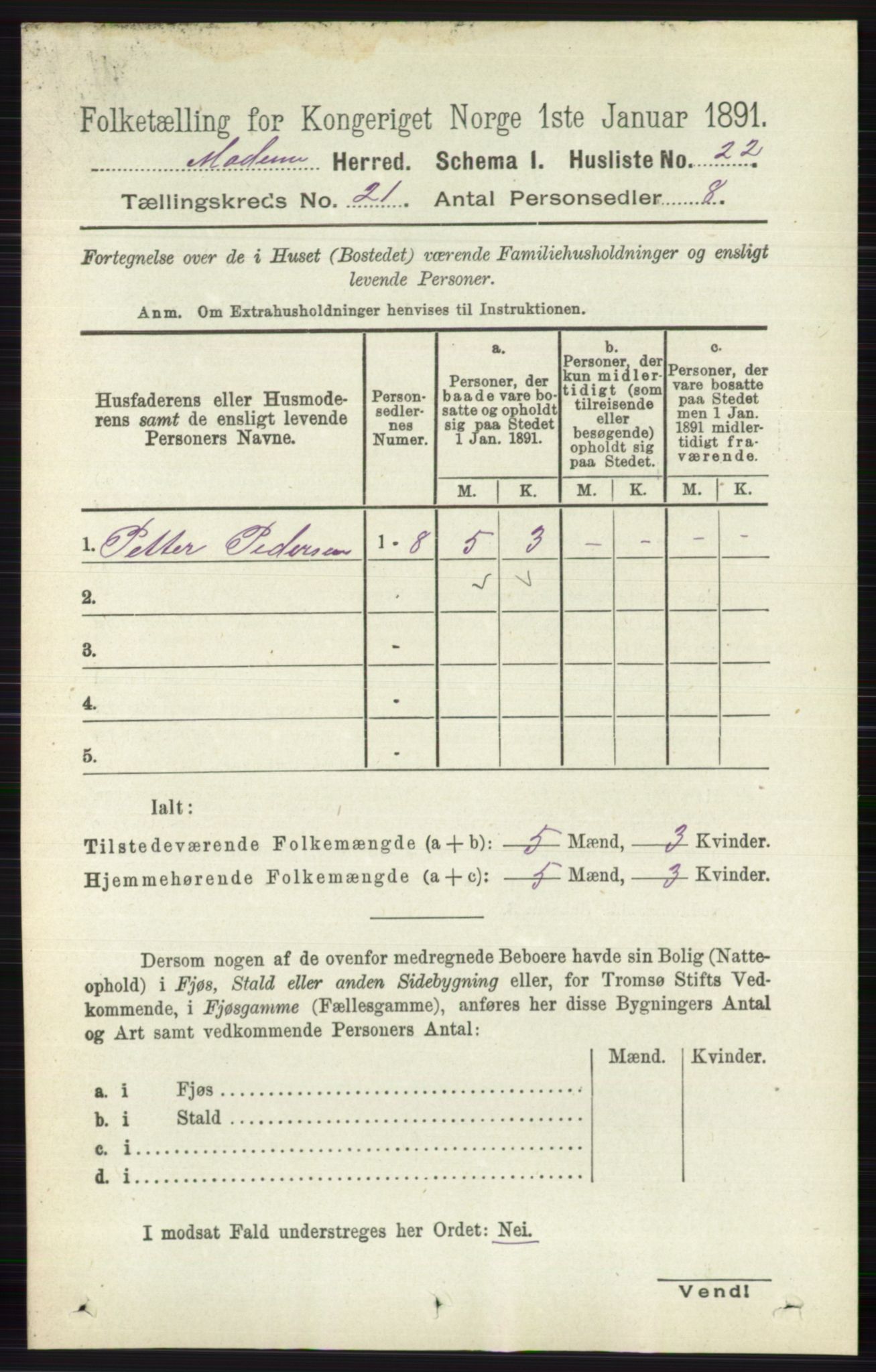 RA, 1891 census for 0623 Modum, 1891, p. 8084