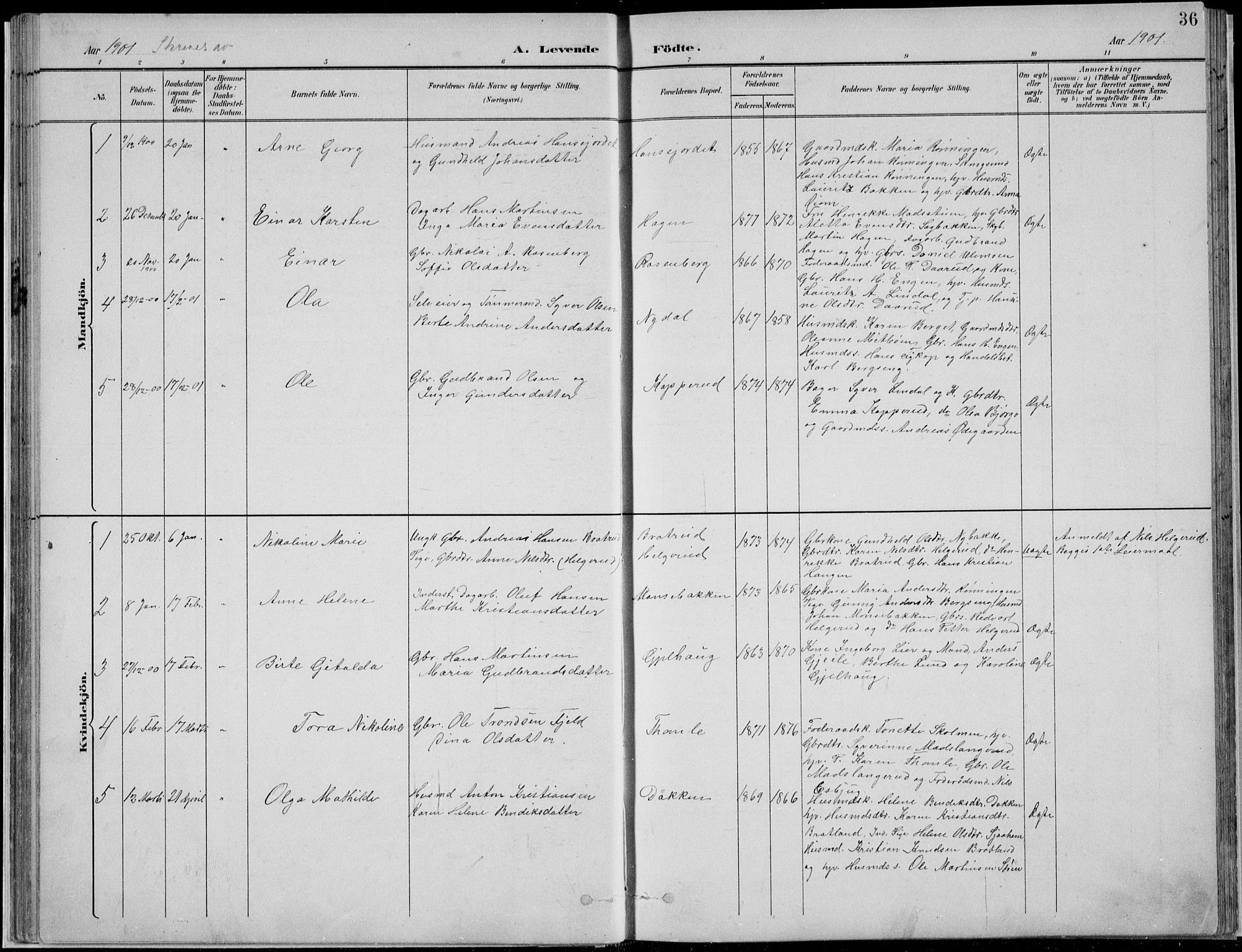 Nordre Land prestekontor, SAH/PREST-124/H/Ha/Hab/L0013: Parish register (copy) no. 13, 1891-1904, p. 36