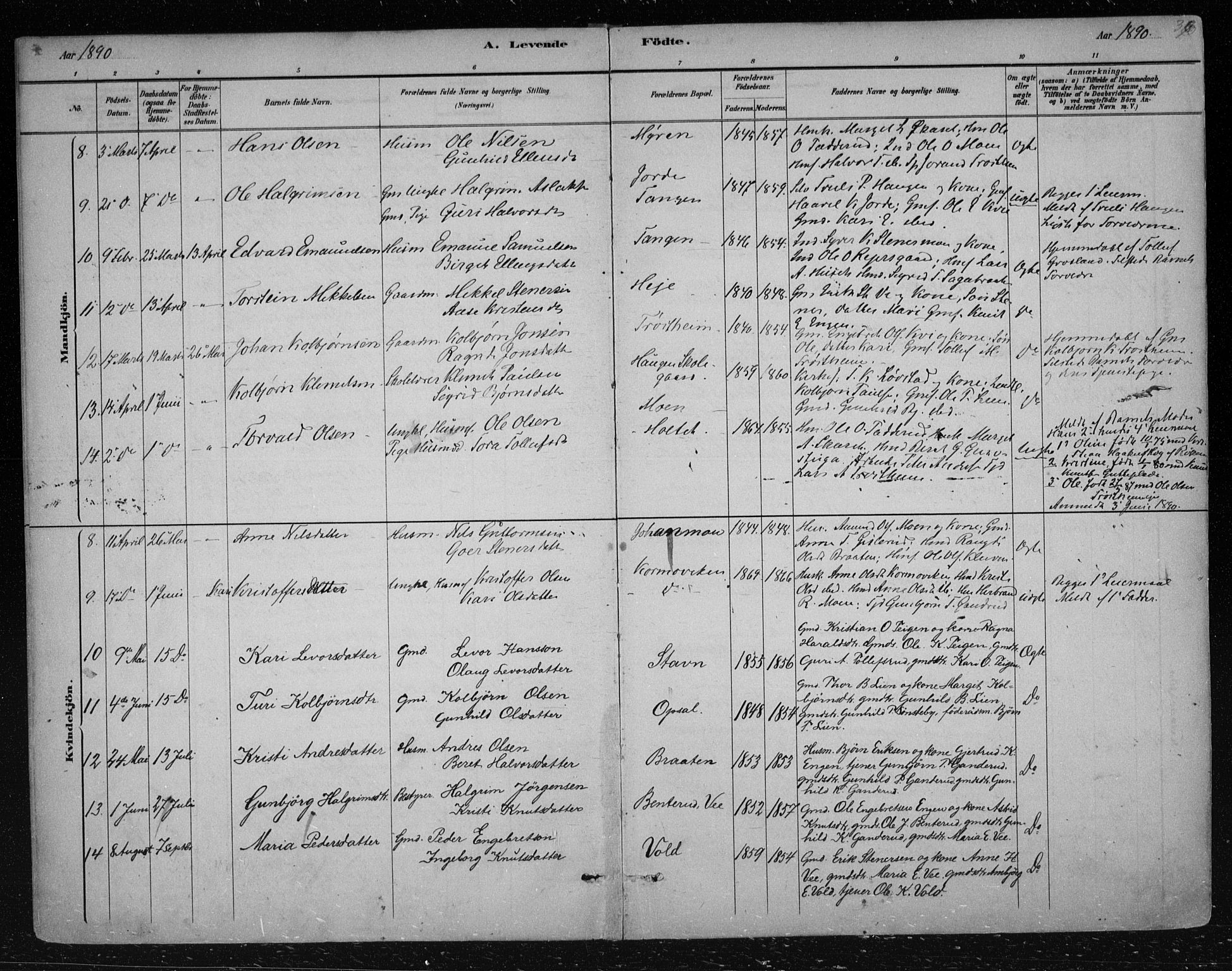 Nes kirkebøker, SAKO/A-236/F/Fa/L0012: Parish register (official) no. 12, 1881-1917, p. 36