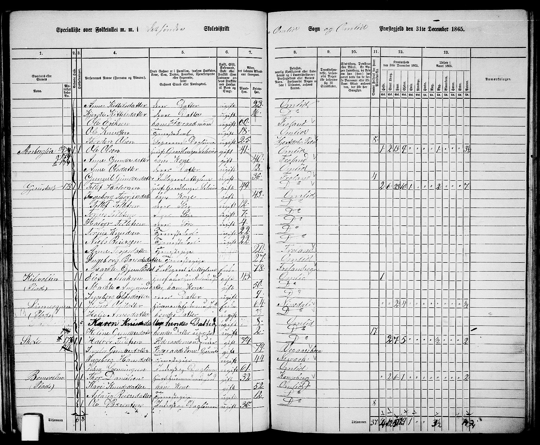 RA, 1865 census for Åmli, 1865, p. 54