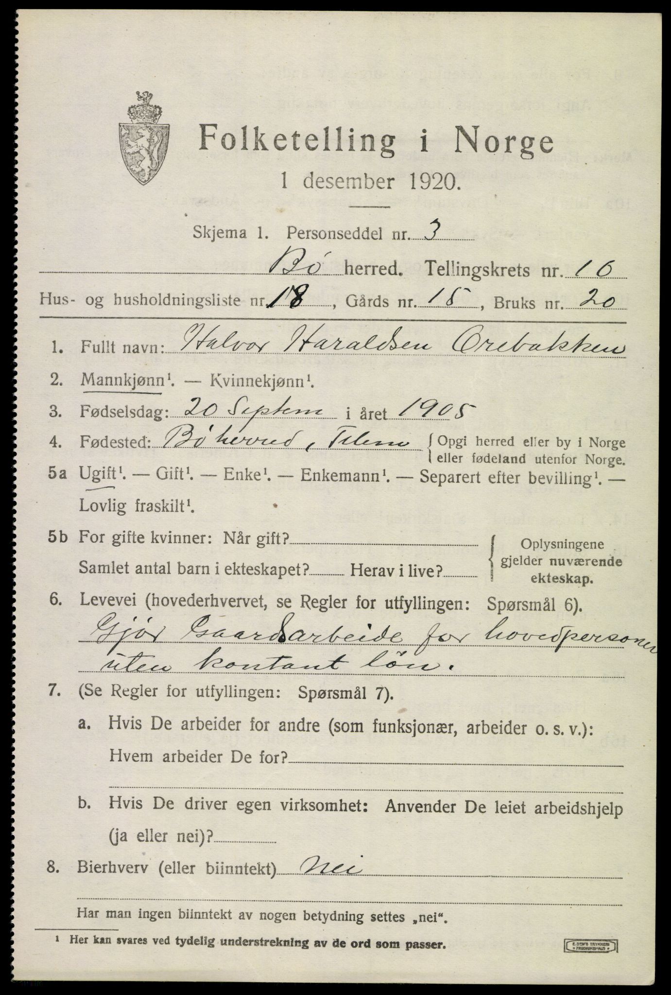 SAKO, 1920 census for Bø (Telemark), 1920, p. 6684