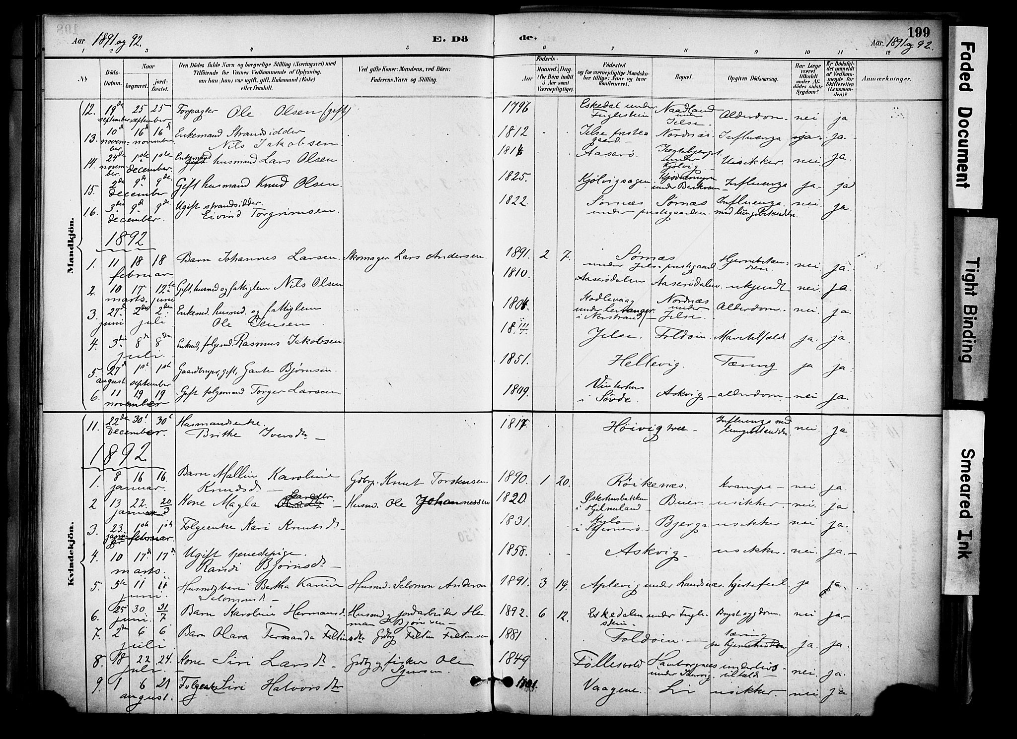 Jelsa sokneprestkontor, SAST/A-101842/01/IV: Parish register (official) no. A 10, 1884-1906, p. 199
