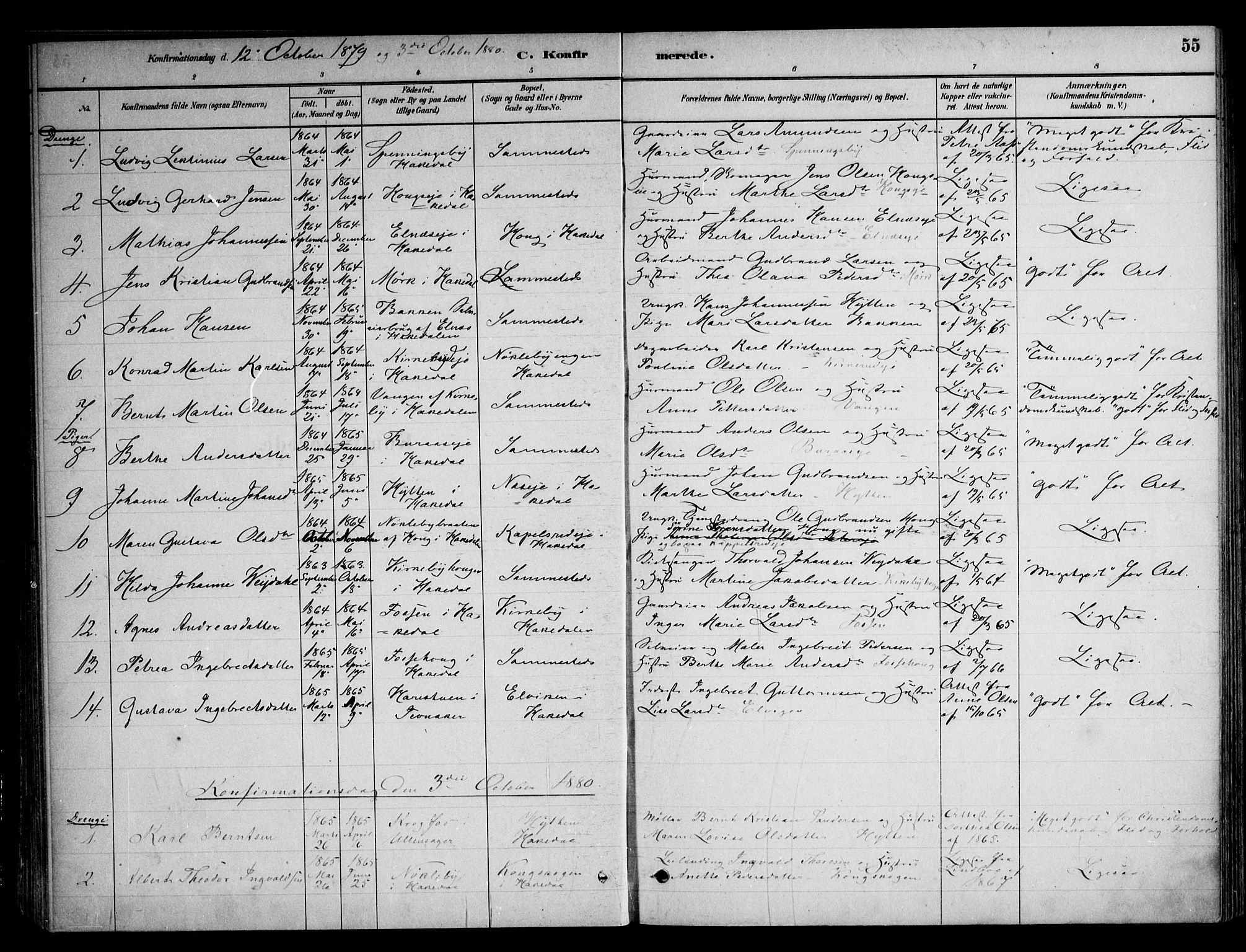 Nittedal prestekontor Kirkebøker, AV/SAO-A-10365a/F/Fb/L0001: Parish register (official) no. II 1, 1879-1901, p. 55