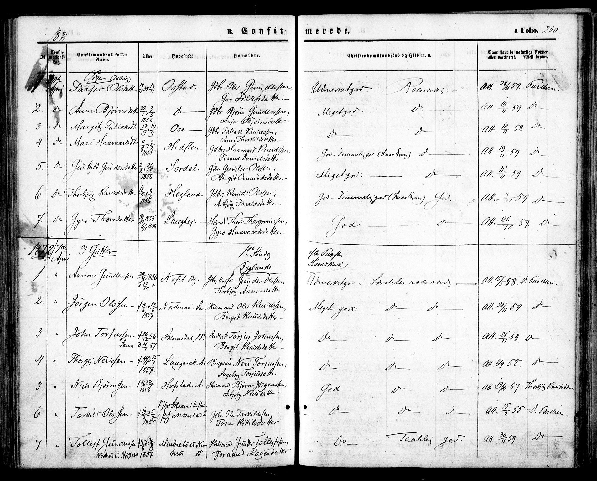 Bygland sokneprestkontor, SAK/1111-0006/F/Fa/Fab/L0005: Parish register (official) no. A 5, 1859-1873, p. 250