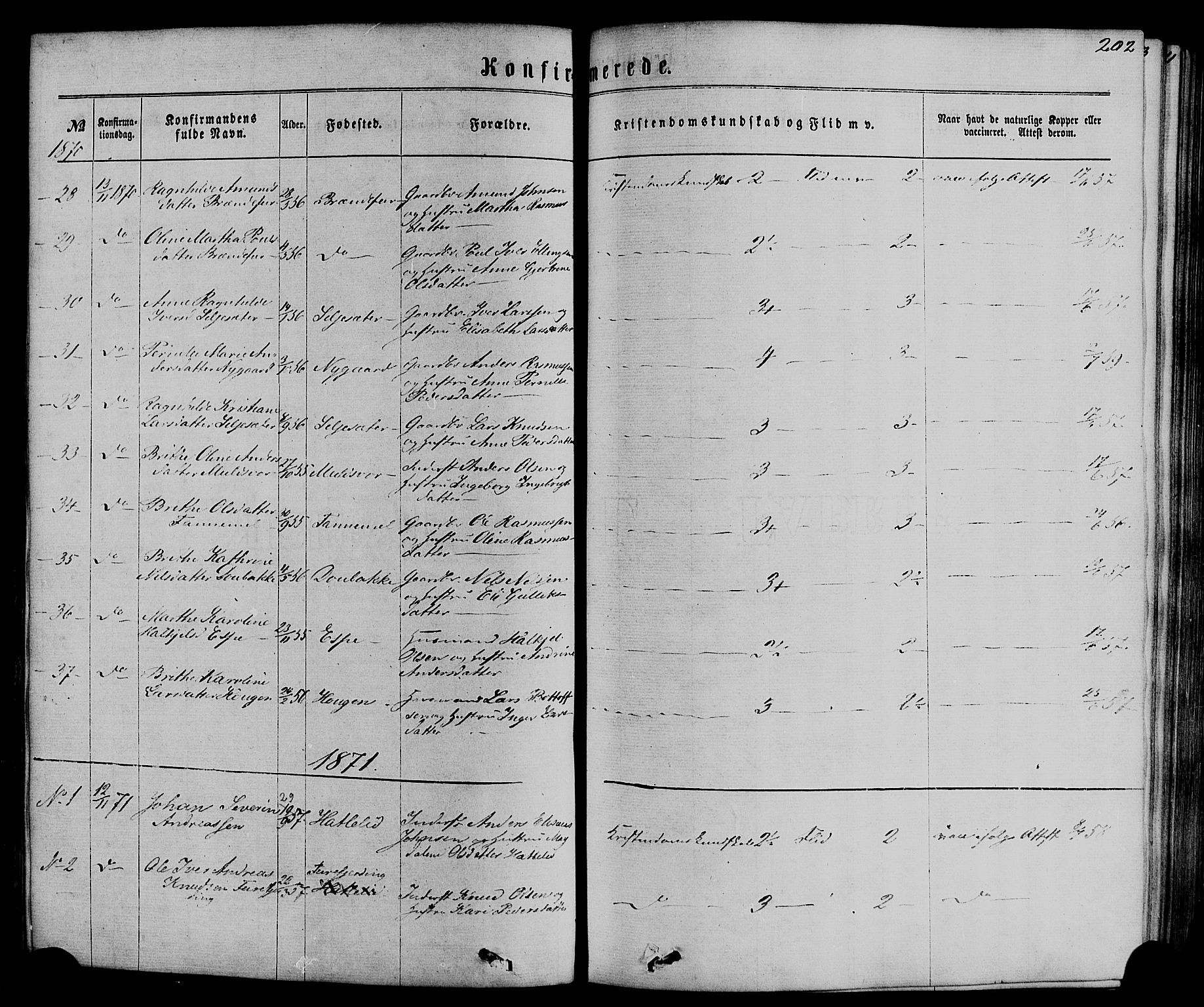 Hornindal sokneprestembete, AV/SAB-A-82401/H/Haa/Haaa/L0002: Parish register (official) no. A 2, 1867-1884, p. 202