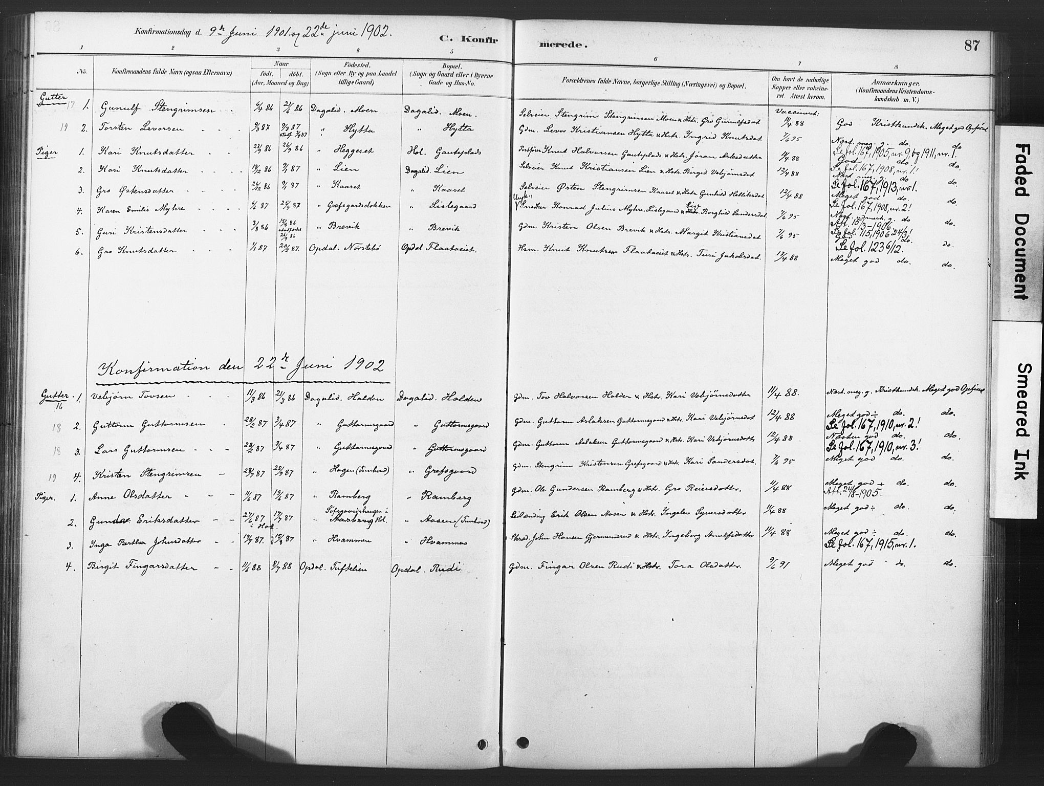 Nore kirkebøker, AV/SAKO-A-238/F/Fd/L0001: Parish register (official) no. IV 1, 1878-1918, p. 87