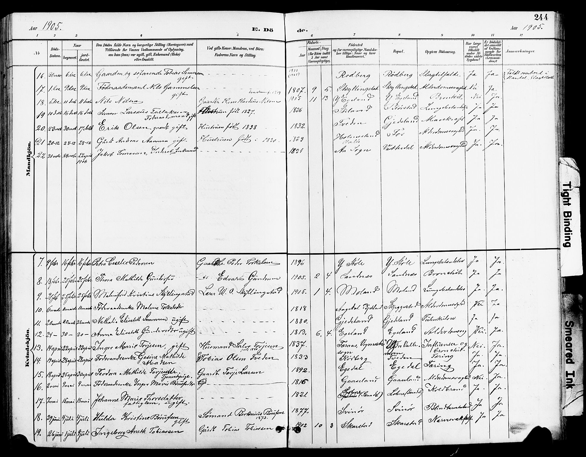 Sør-Audnedal sokneprestkontor, AV/SAK-1111-0039/F/Fb/Fbb/L0006: Parish register (copy) no. B 6, 1893-1915, p. 244