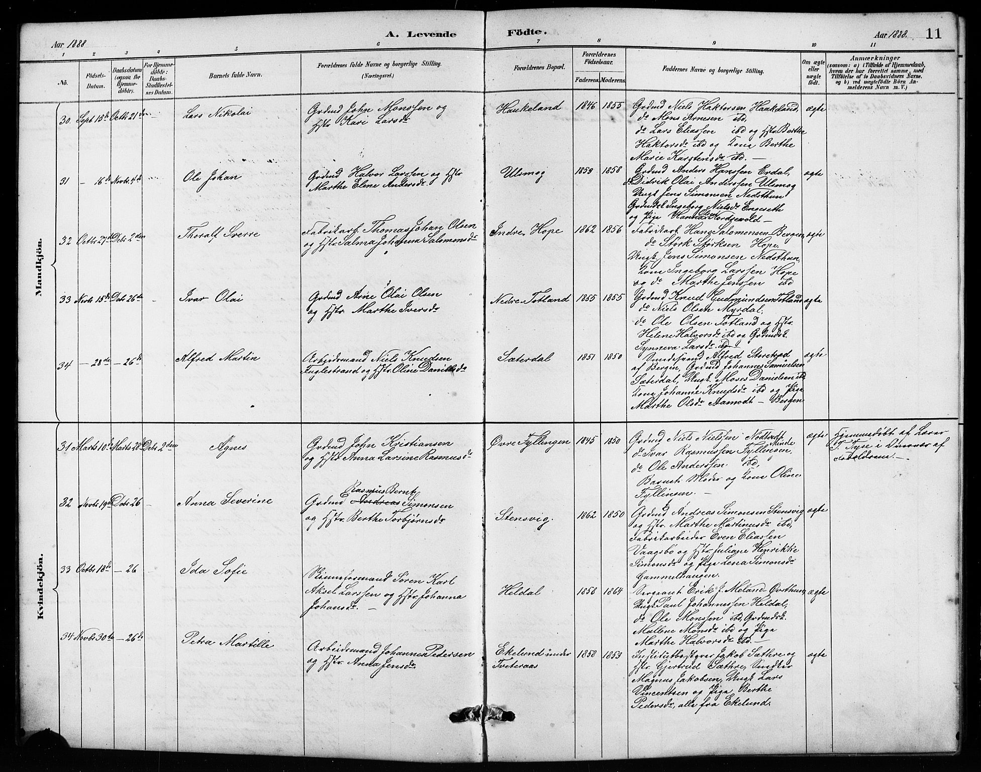 Birkeland Sokneprestembete, AV/SAB-A-74601/H/Hab: Parish register (copy) no. A 4, 1888-1897, p. 11