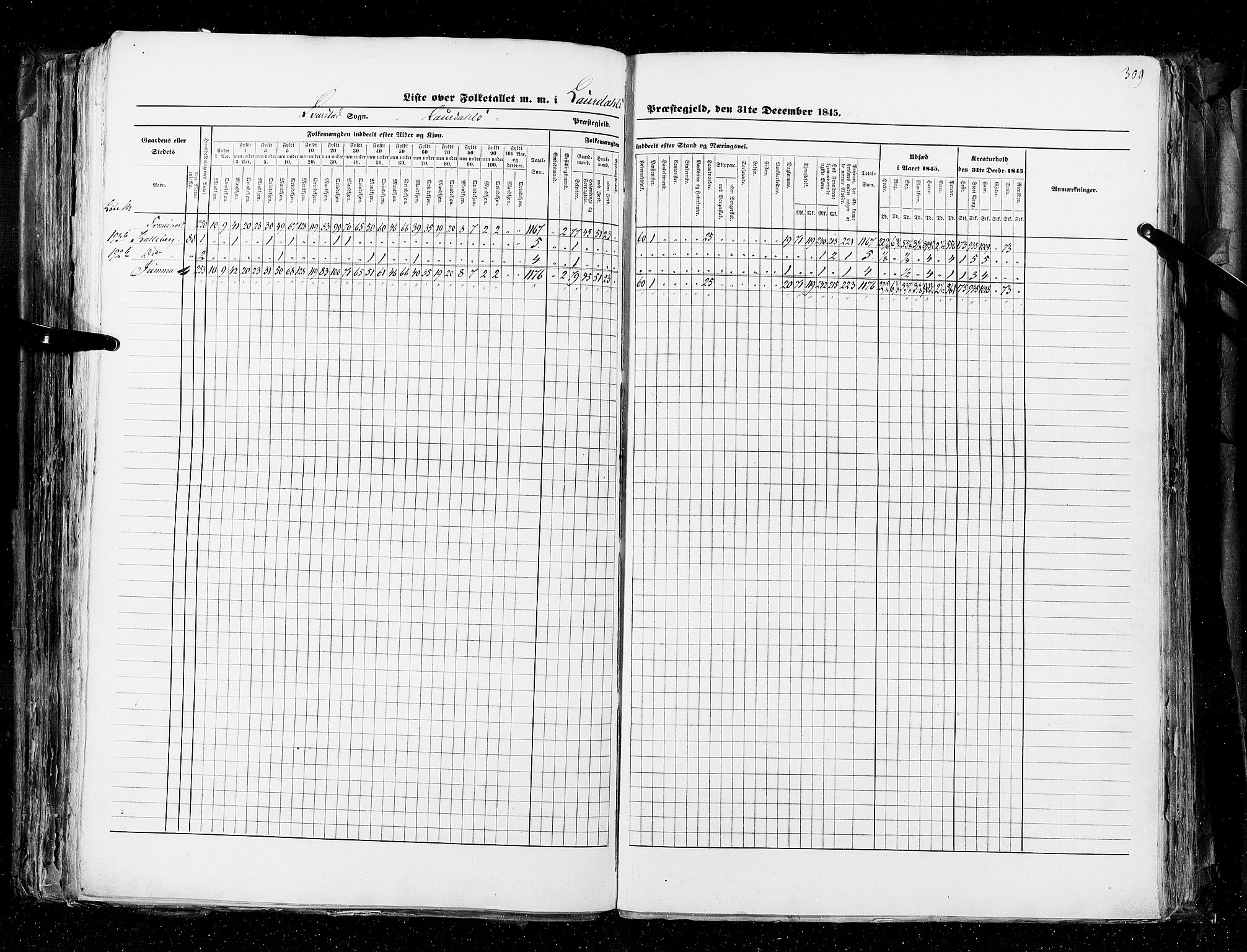 RA, Census 1845, vol. 4: Buskerud amt og Jarlsberg og Larvik amt, 1845, p. 309