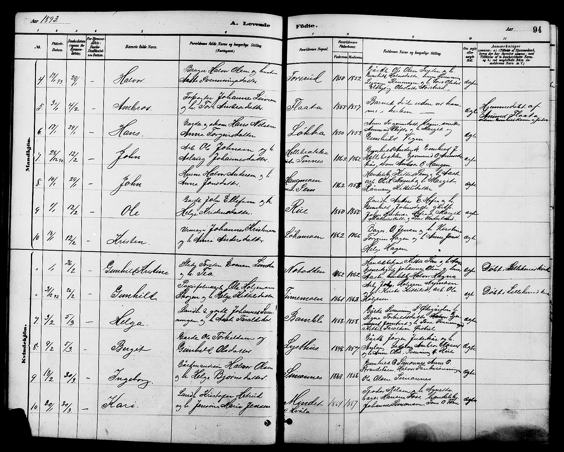 Heddal kirkebøker, SAKO/A-268/G/Ga/L0002: Parish register (copy) no. I 2, 1879-1908, p. 94