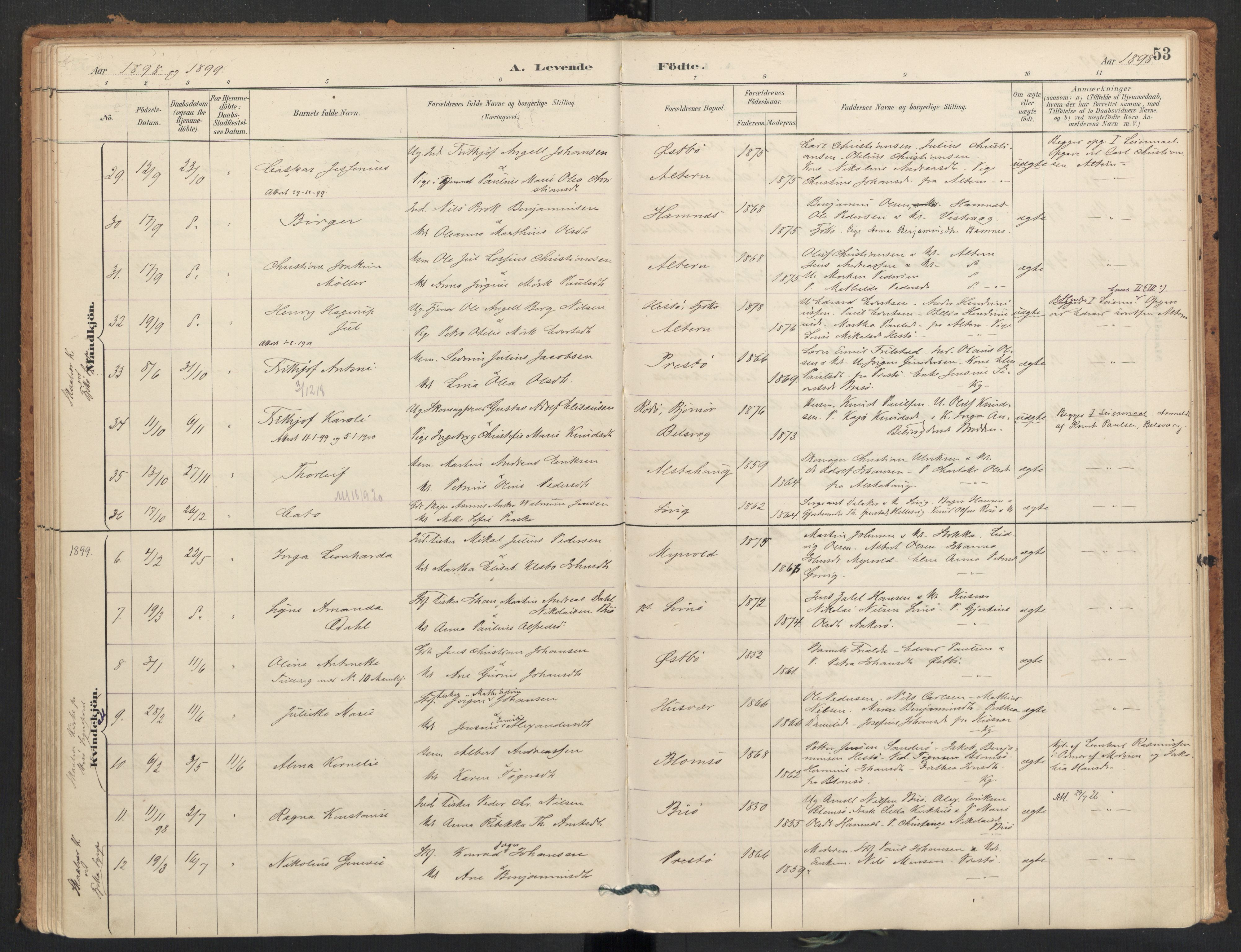 Ministerialprotokoller, klokkerbøker og fødselsregistre - Nordland, SAT/A-1459/830/L0453: Parish register (official) no. 830A17, 1886-1911, p. 53