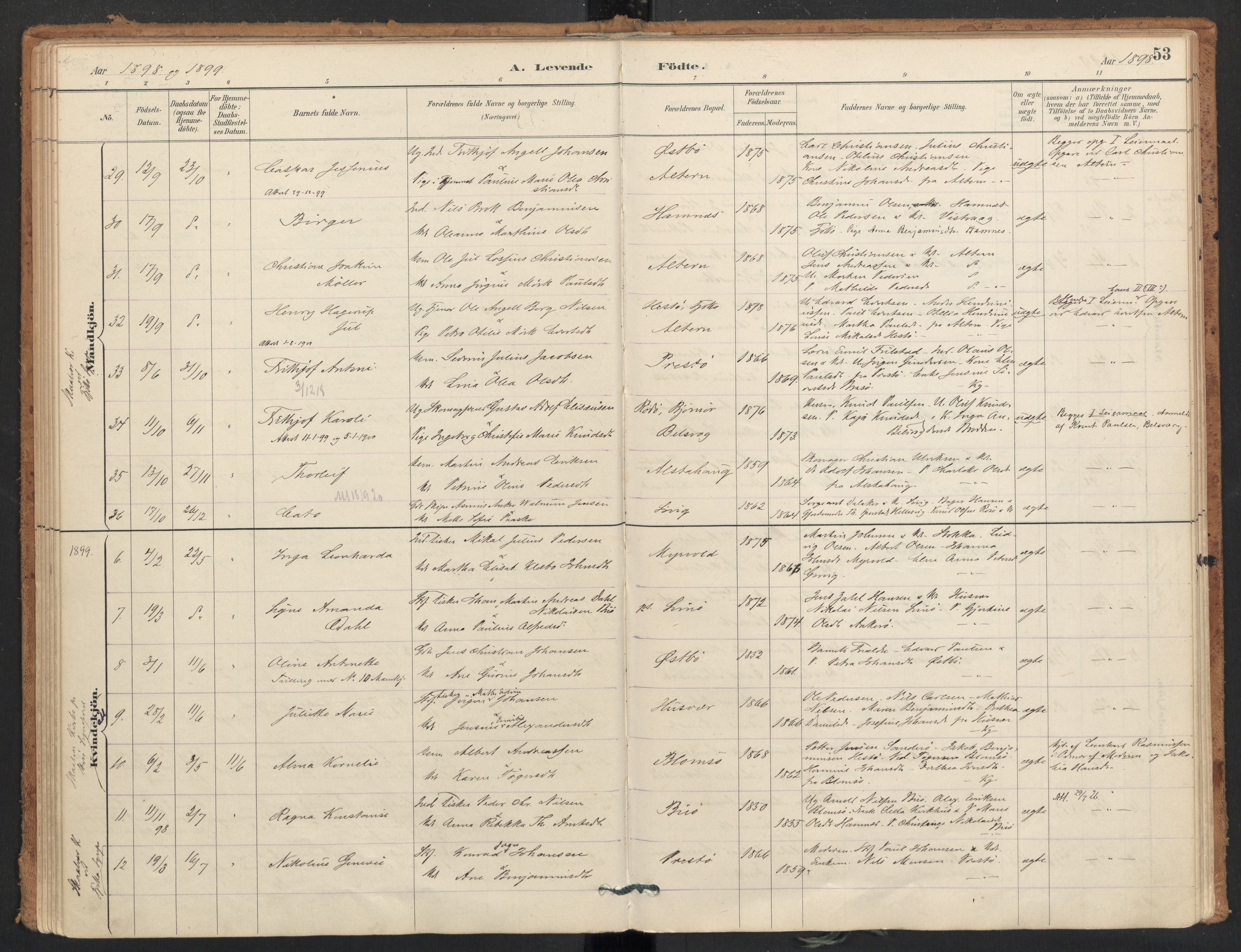 Ministerialprotokoller, klokkerbøker og fødselsregistre - Nordland, AV/SAT-A-1459/830/L0453: Parish register (official) no. 830A17, 1886-1911, p. 53