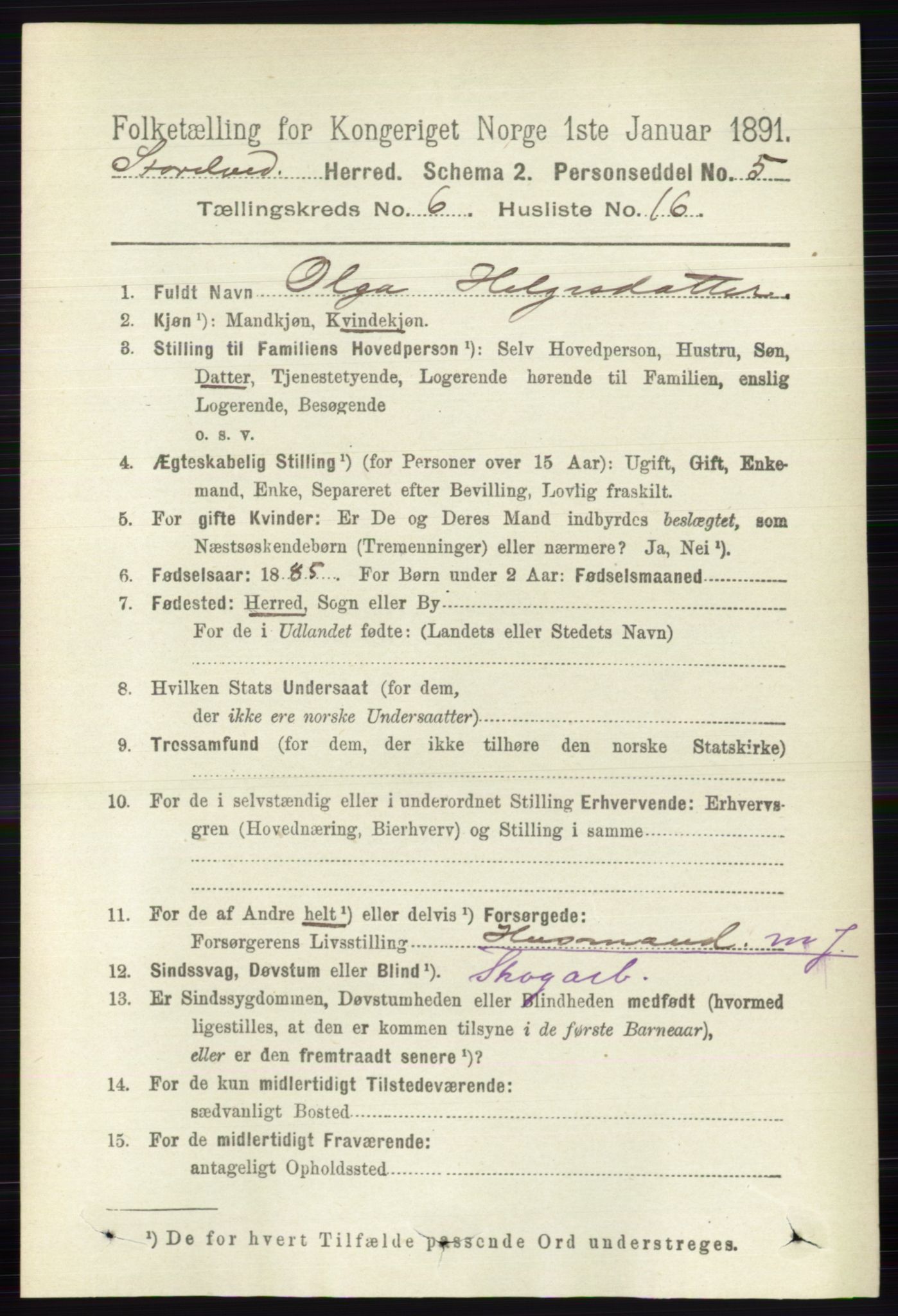 RA, 1891 census for 0430 Stor-Elvdal, 1891, p. 2246