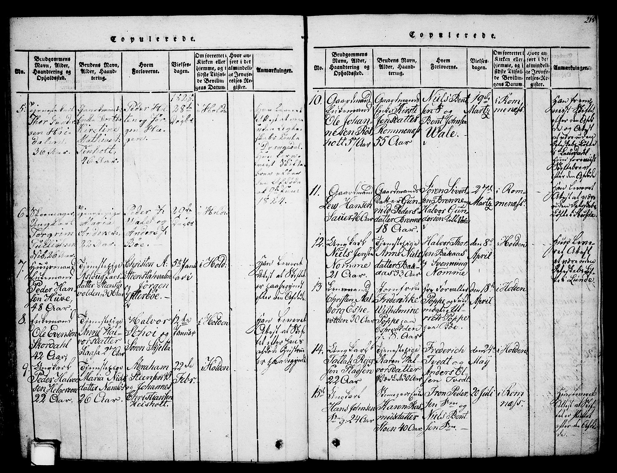 Holla kirkebøker, AV/SAKO-A-272/G/Ga/L0001: Parish register (copy) no. I 1, 1814-1830, p. 215