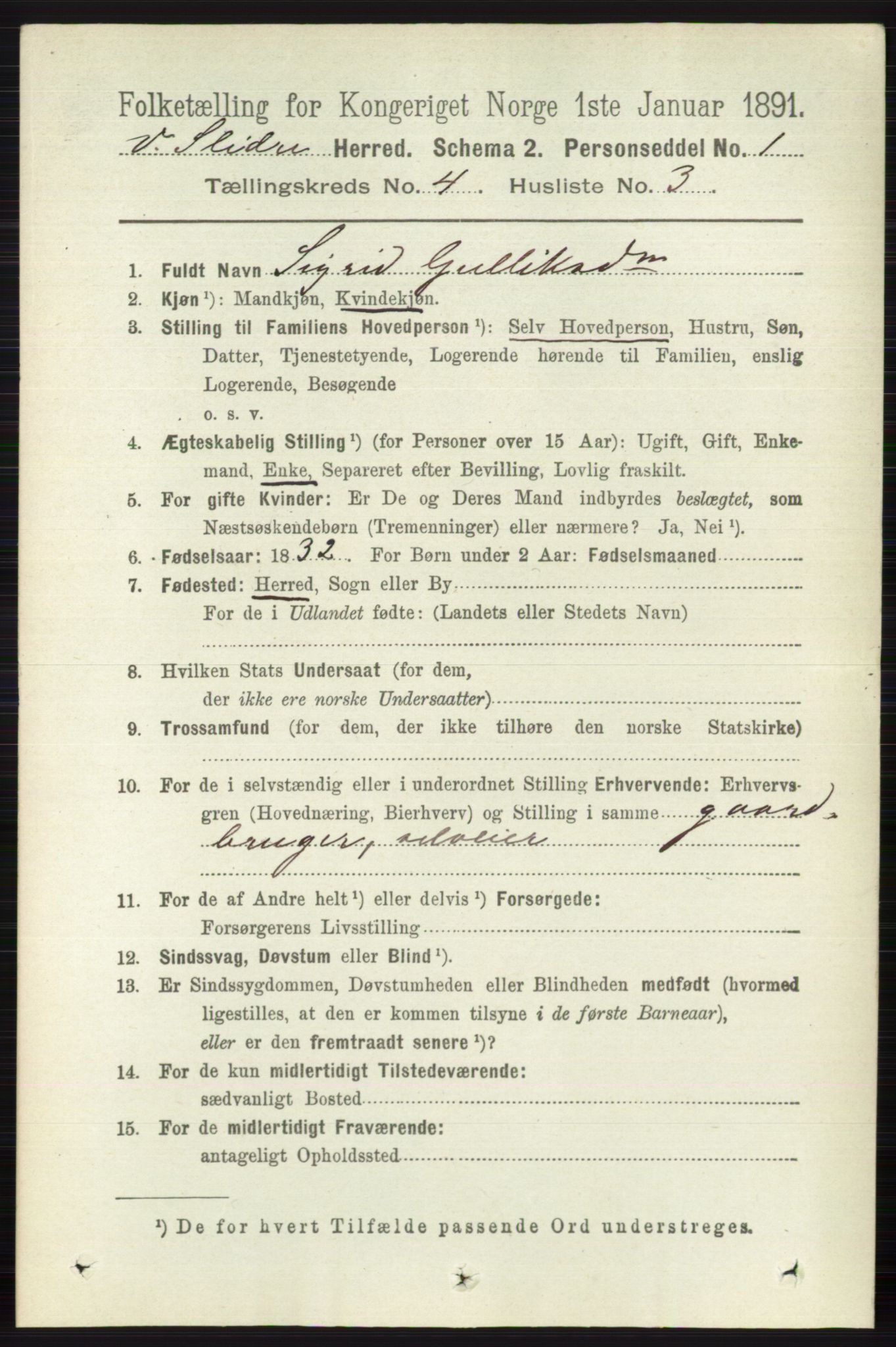 RA, 1891 census for 0543 Vestre Slidre, 1891, p. 1265