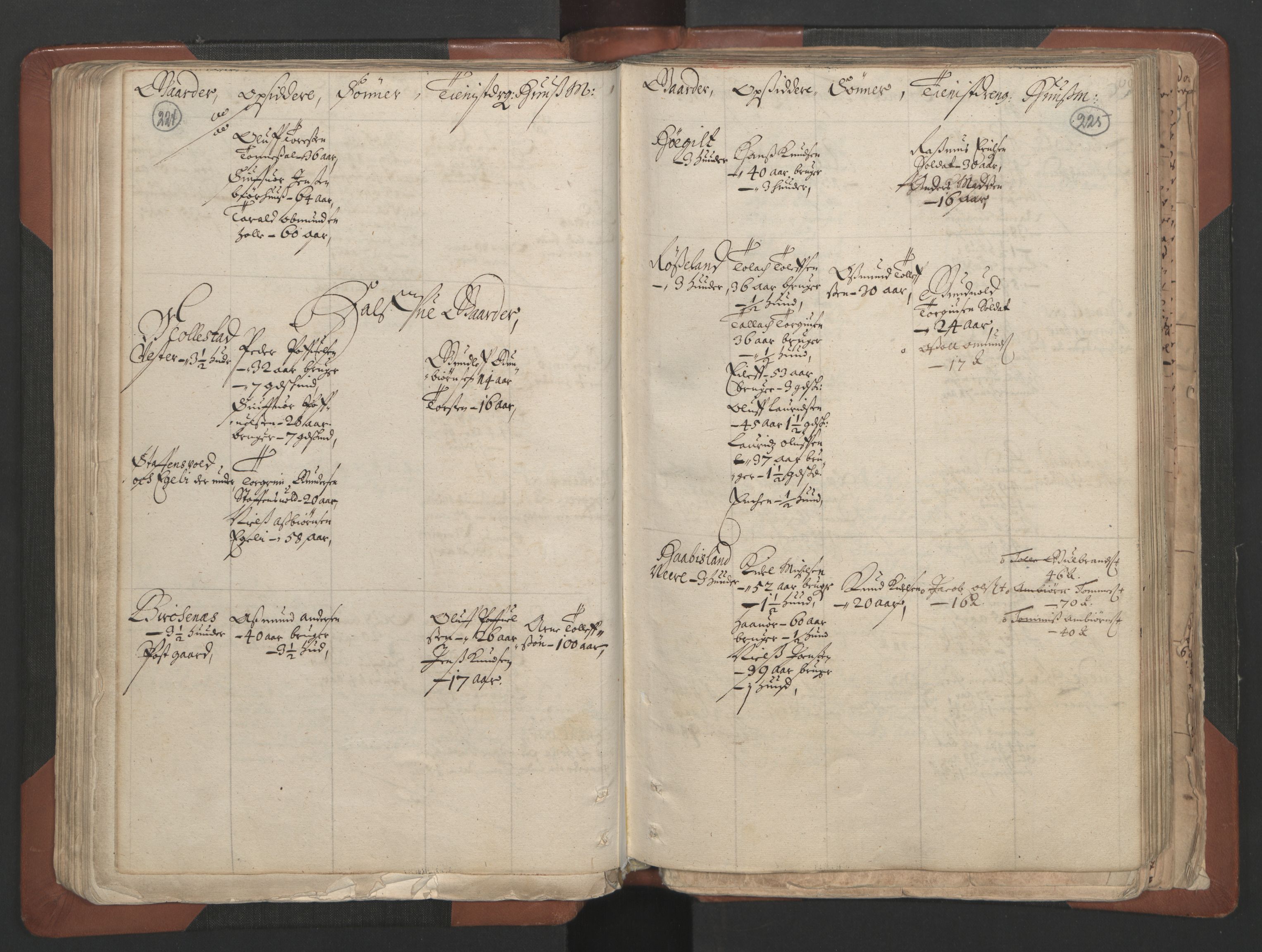 RA, Bailiff's Census 1664-1666, no. 7: Nedenes fogderi, 1664-1666, p. 224-225