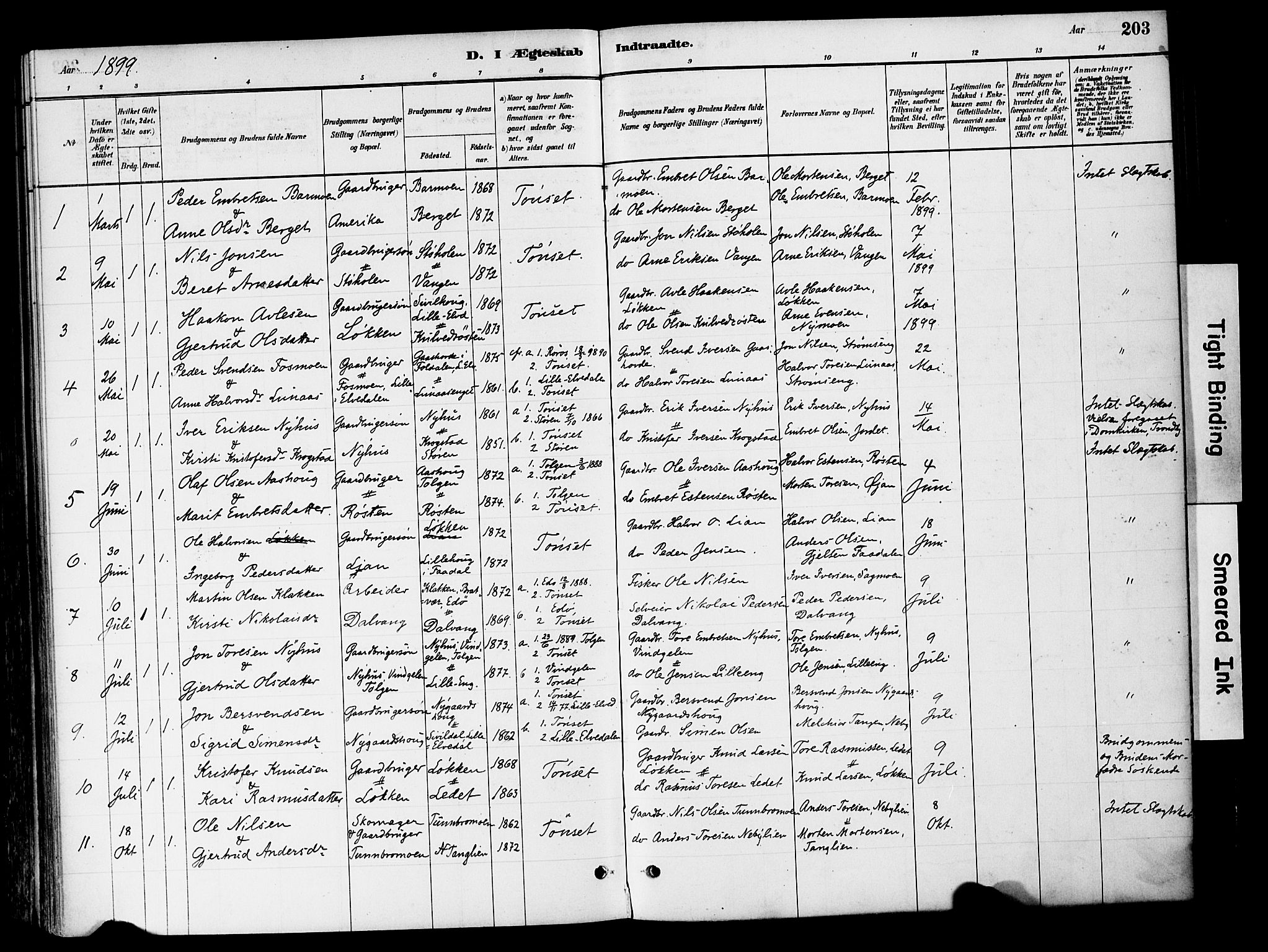 Tynset prestekontor, SAH/PREST-058/H/Ha/Haa/L0022: Parish register (official) no. 22, 1880-1899, p. 203