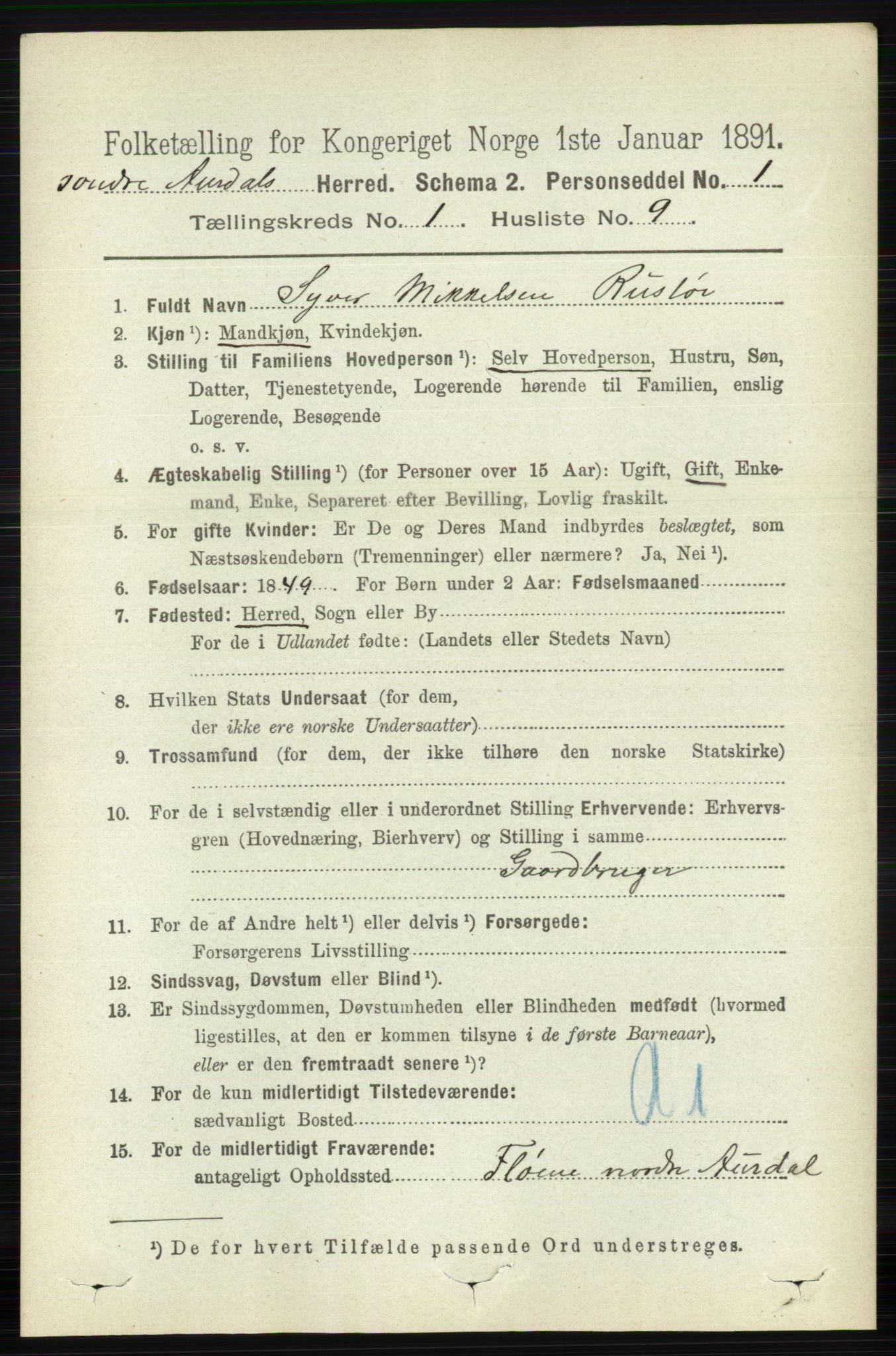 RA, 1891 census for 0540 Sør-Aurdal, 1891, p. 193