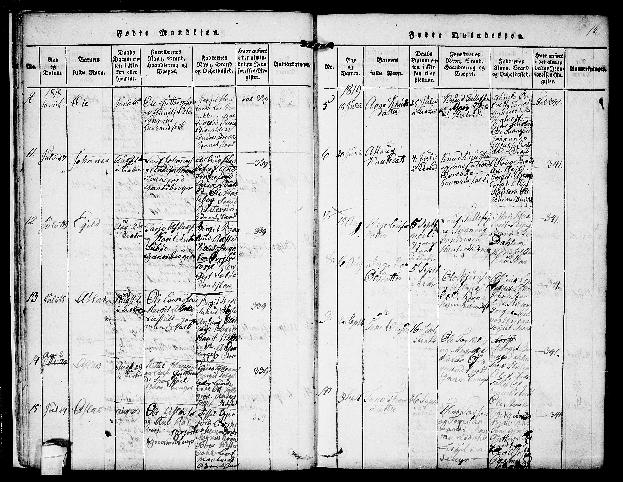Kviteseid kirkebøker, SAKO/A-276/F/Fb/L0001: Parish register (official) no. II 1, 1815-1836, p. 16