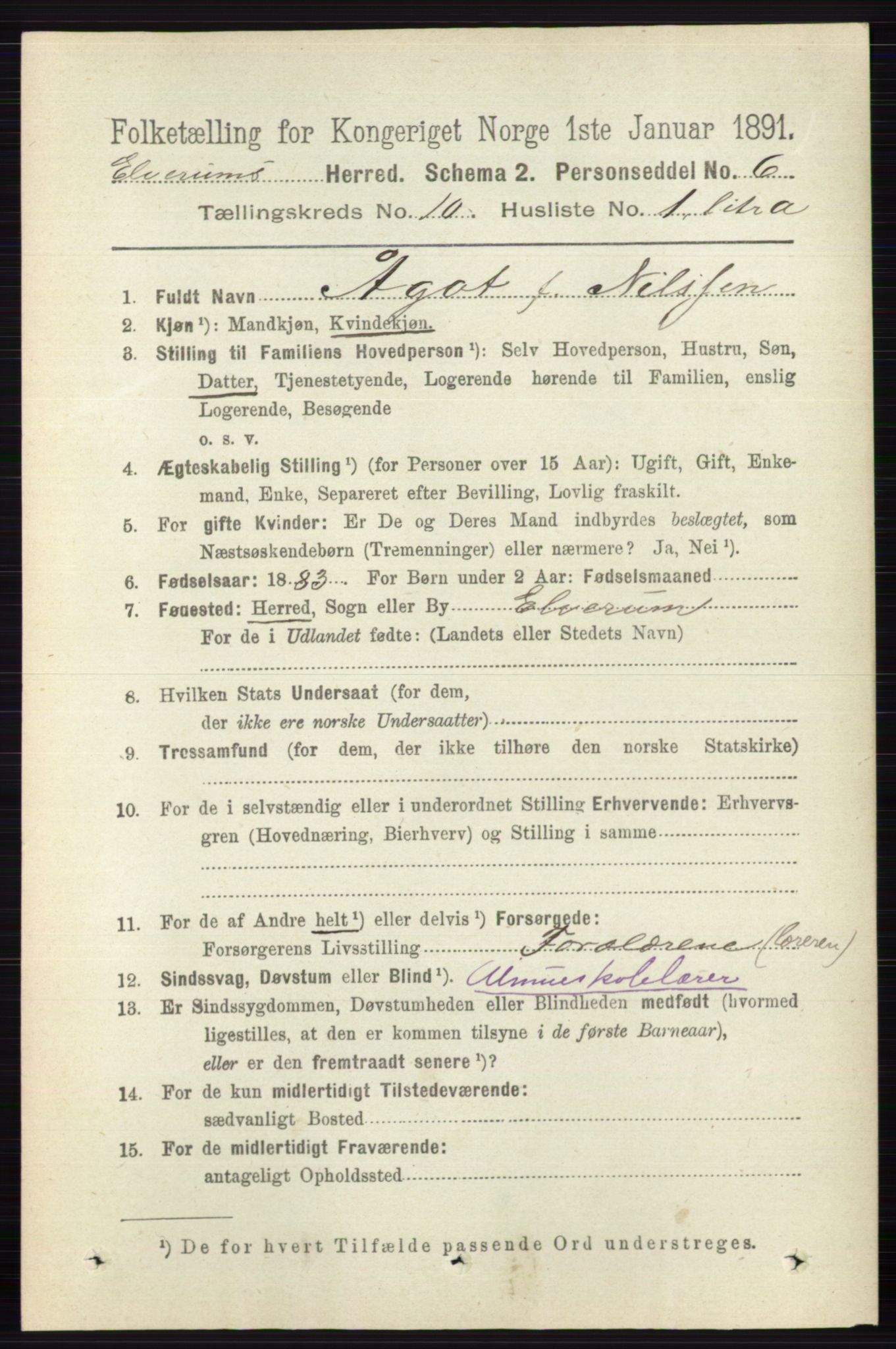 RA, 1891 census for 0427 Elverum, 1891, p. 8207