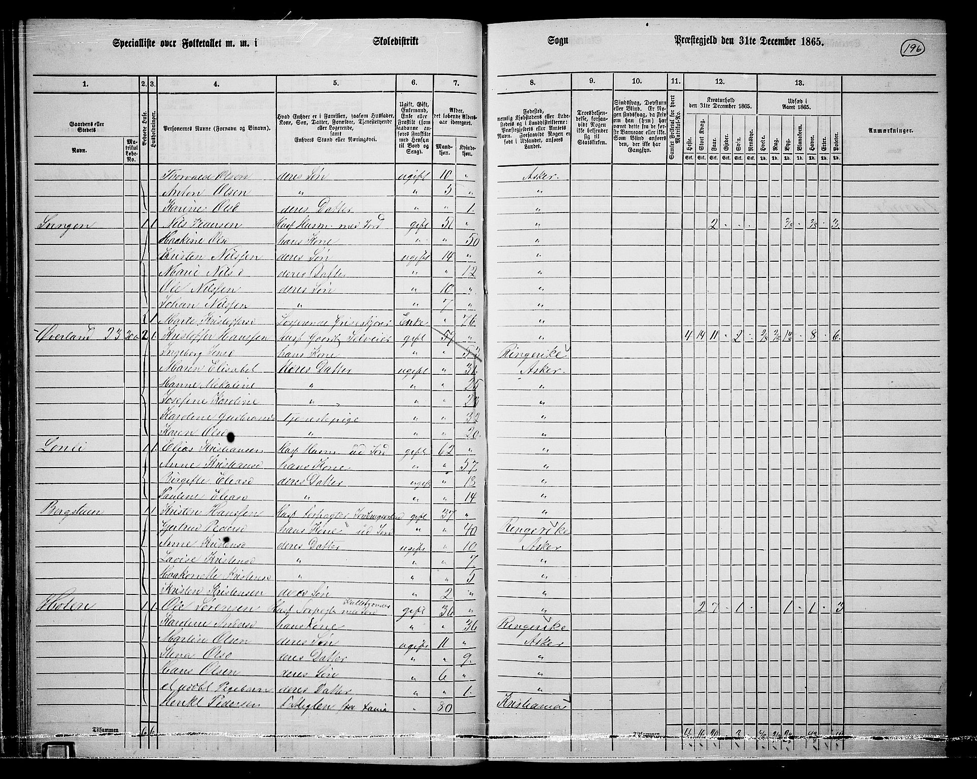 RA, 1865 census for Asker, 1865, p. 188