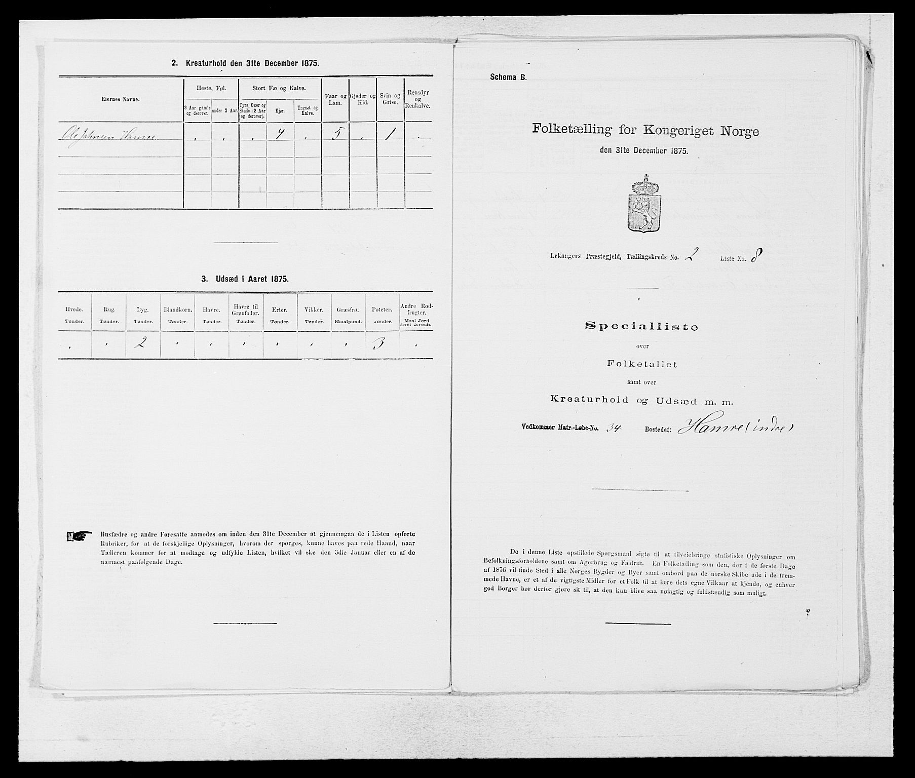 SAB, 1875 census for 1419P Leikanger, 1875, p. 117