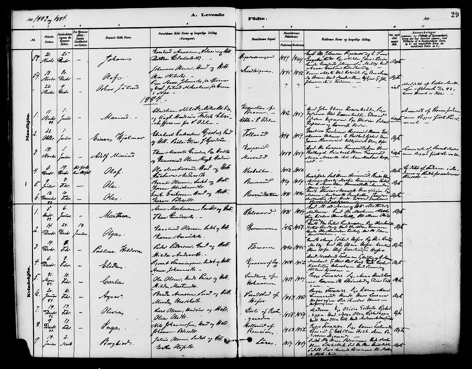 Brandval prestekontor, SAH/PREST-034/H/Ha/Haa/L0002: Parish register (official) no. 2, 1880-1894, p. 29