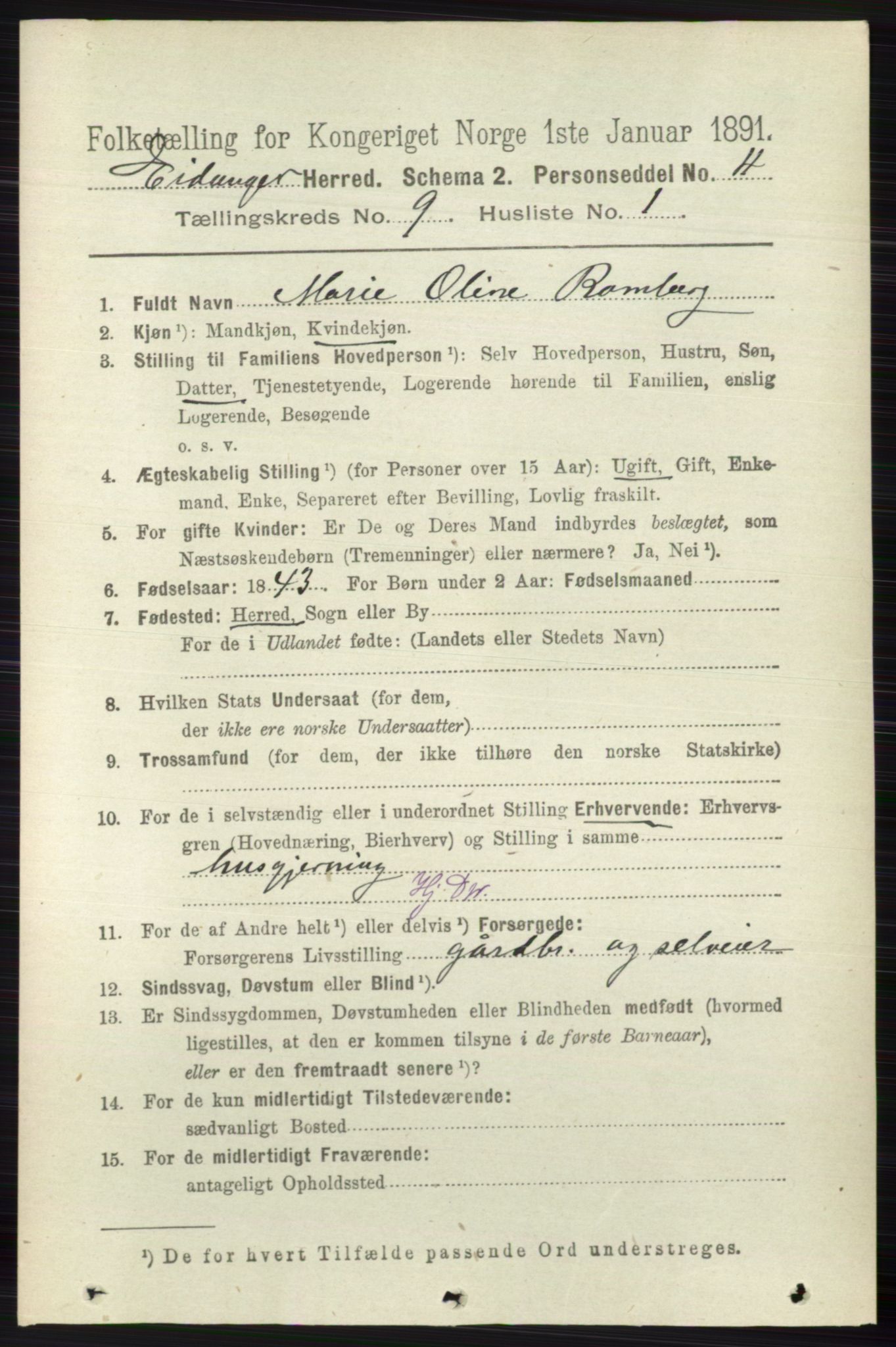 RA, 1891 census for 0813 Eidanger, 1891, p. 3618