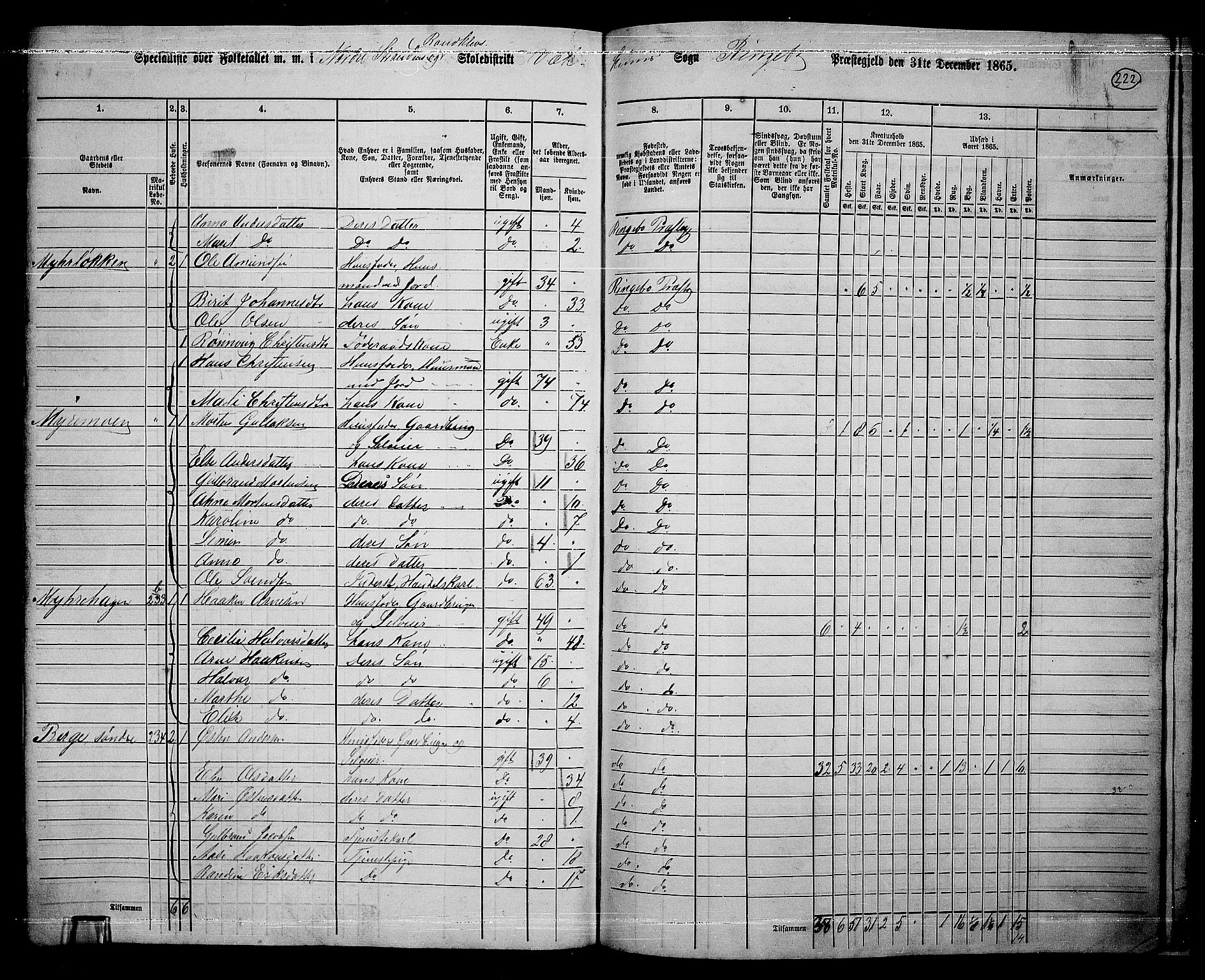 RA, 1865 census for Ringebu, 1865, p. 193