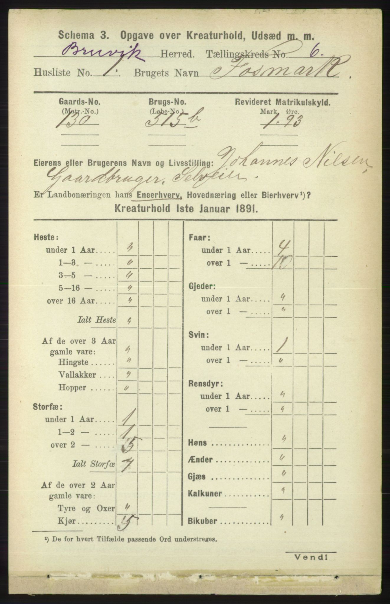 RA, 1891 census for 1251 Bruvik, 1891, p. 4558