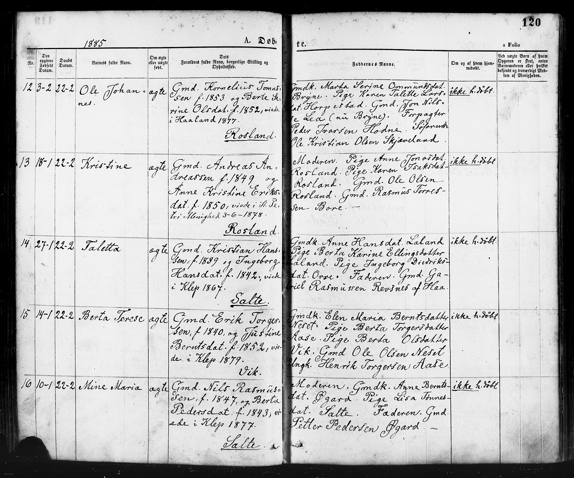 Klepp sokneprestkontor, SAST/A-101803/001/3/30BA/L0006: Parish register (official) no. A 6, 1871-1885, p. 120