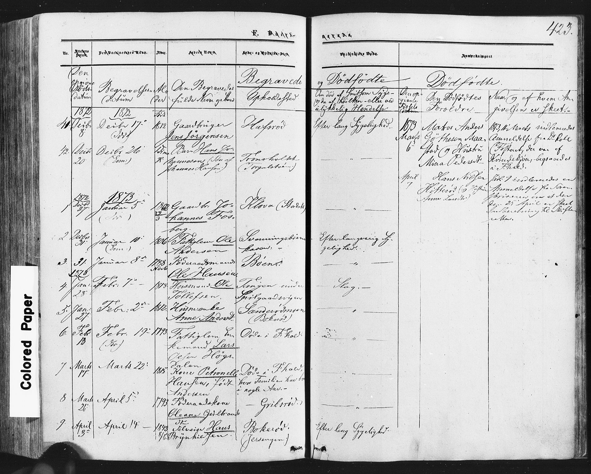 Idd prestekontor Kirkebøker, SAO/A-10911/F/Fc/L0005: Parish register (official) no. III 5, 1861-1877, p. 423