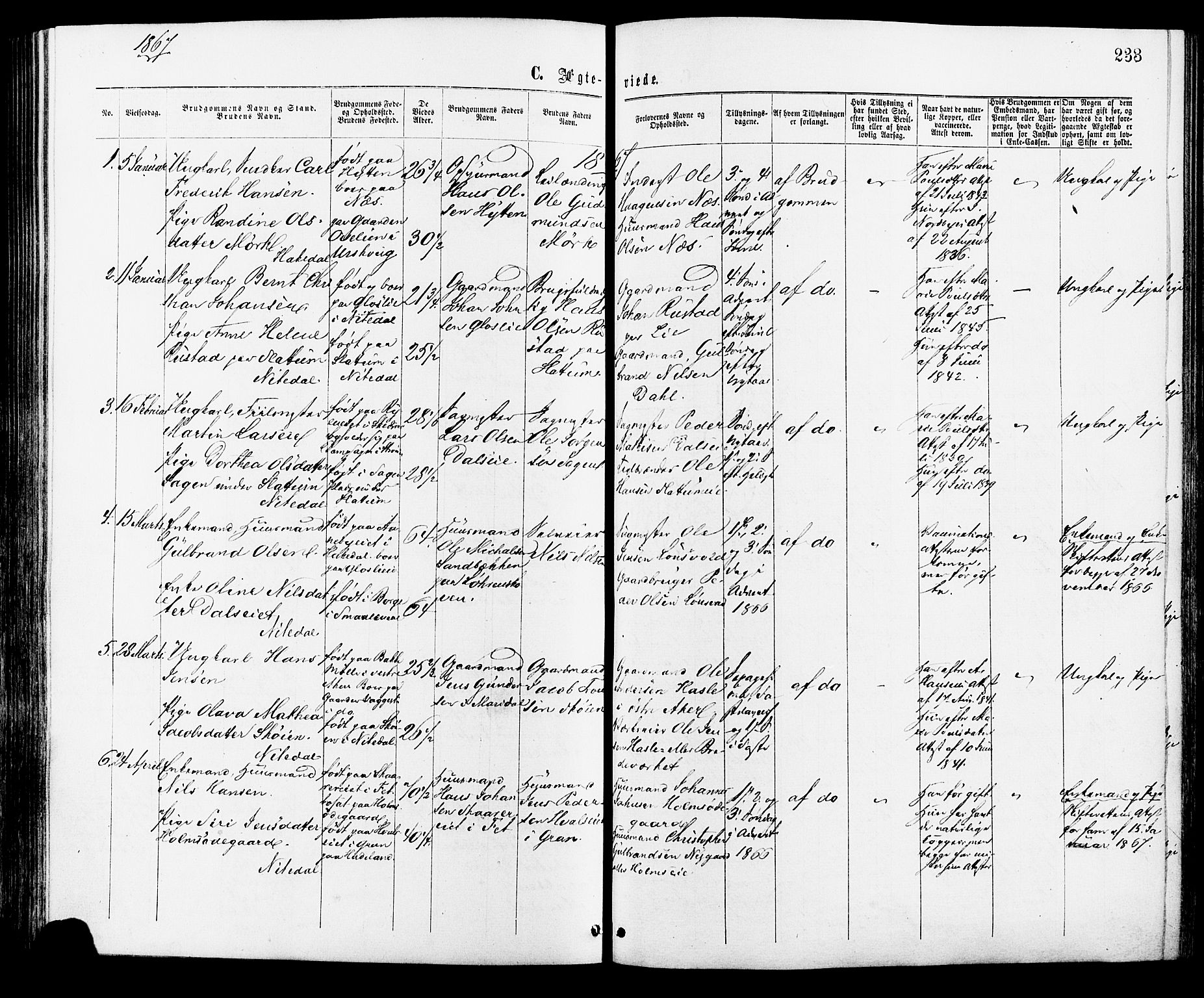 Nittedal prestekontor Kirkebøker, AV/SAO-A-10365a/F/Fa/L0006: Parish register (official) no. I 6, 1863-1878, p. 233