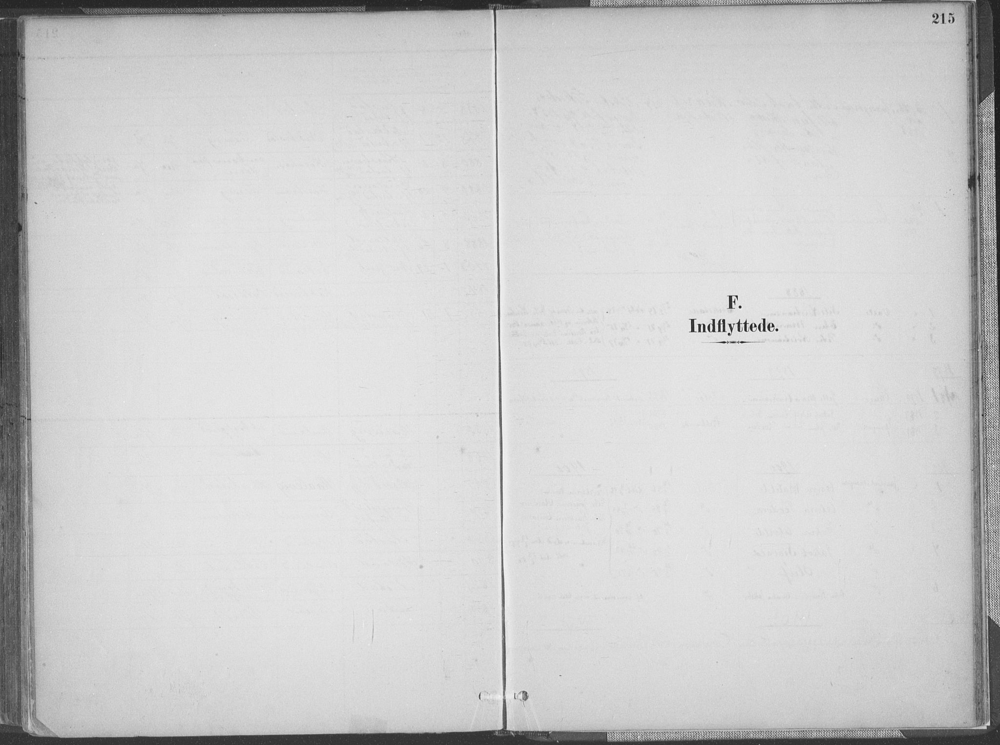 Lyngdal sokneprestkontor, SAK/1111-0029/F/Fa/Faa/L0004: Parish register (official) no. A 4, 1883-1904, p. 215