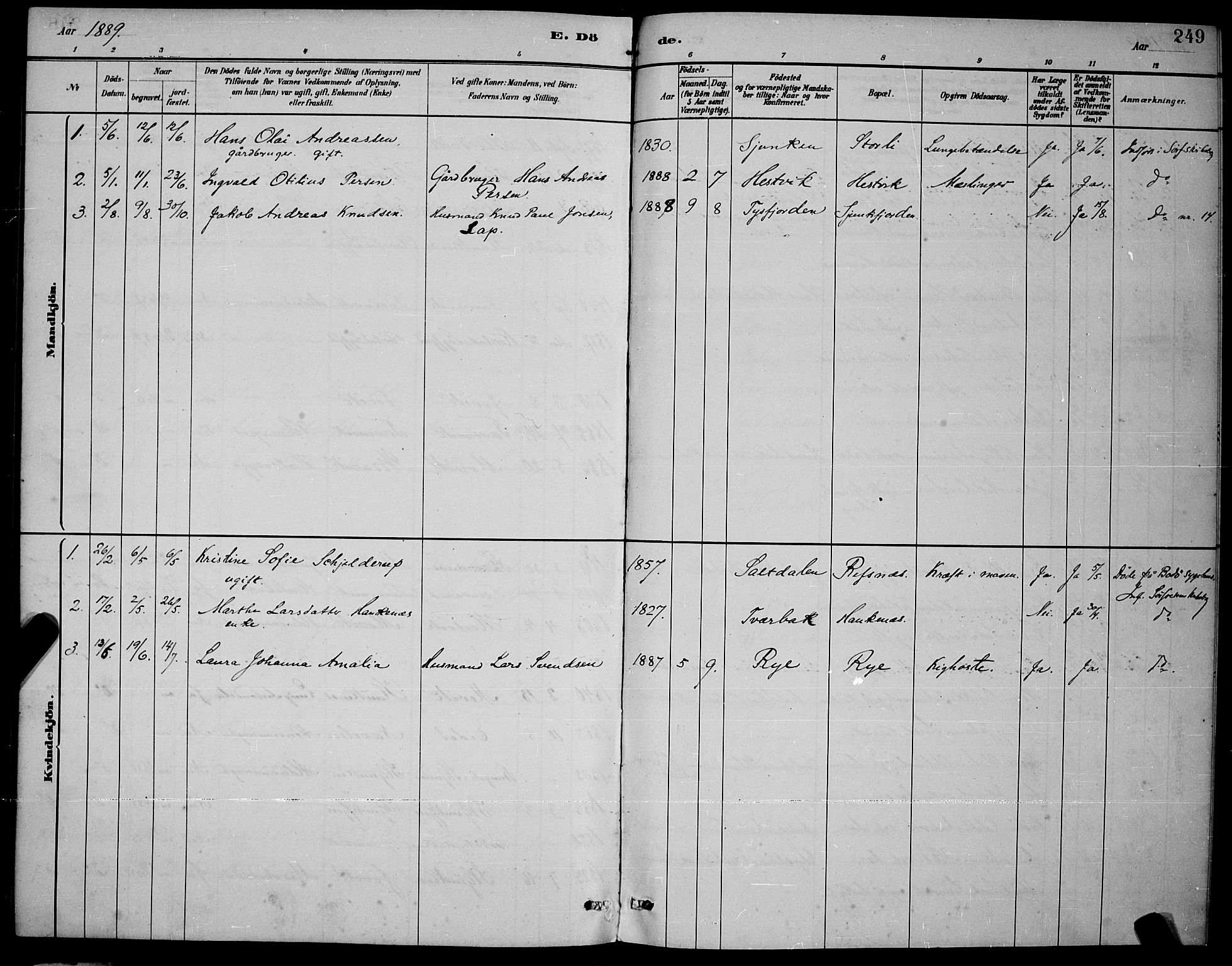 Ministerialprotokoller, klokkerbøker og fødselsregistre - Nordland, AV/SAT-A-1459/853/L0772: Parish register (official) no. 853A11, 1881-1900, p. 249