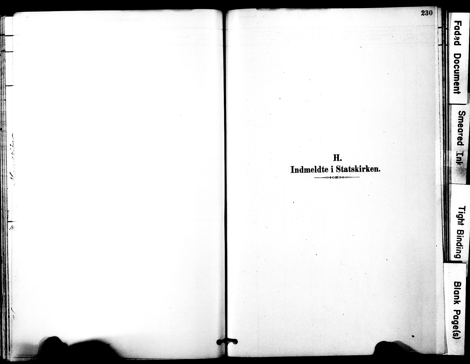 Ministerialprotokoller, klokkerbøker og fødselsregistre - Møre og Romsdal, AV/SAT-A-1454/525/L0374: Parish register (official) no. 525A04, 1880-1899, p. 230