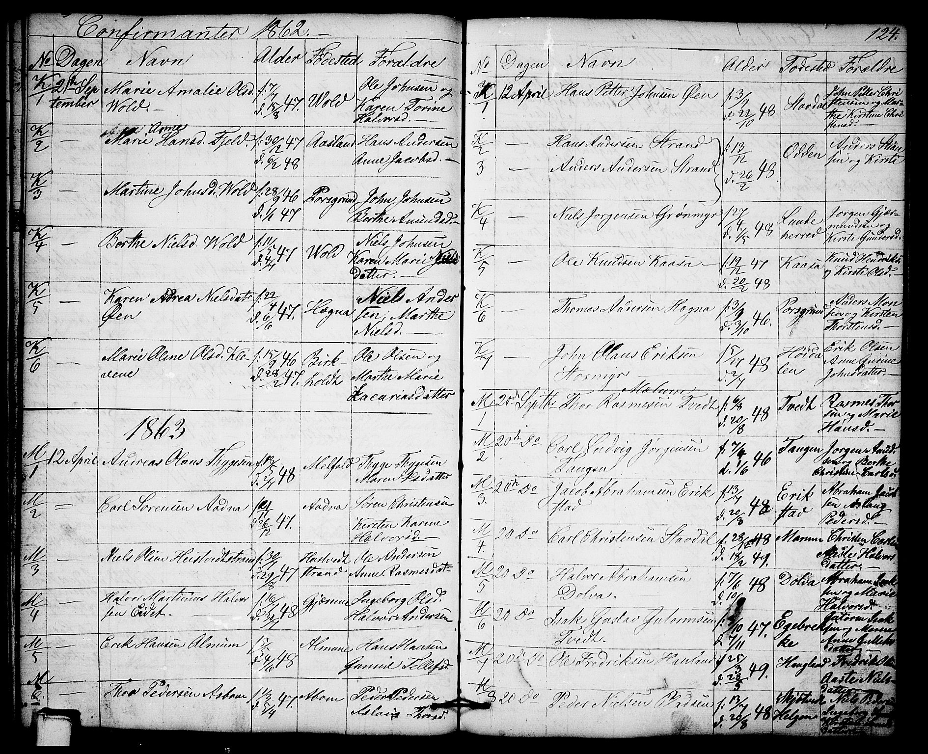 Solum kirkebøker, AV/SAKO-A-306/G/Gb/L0002: Parish register (copy) no. II 2, 1859-1879, p. 124