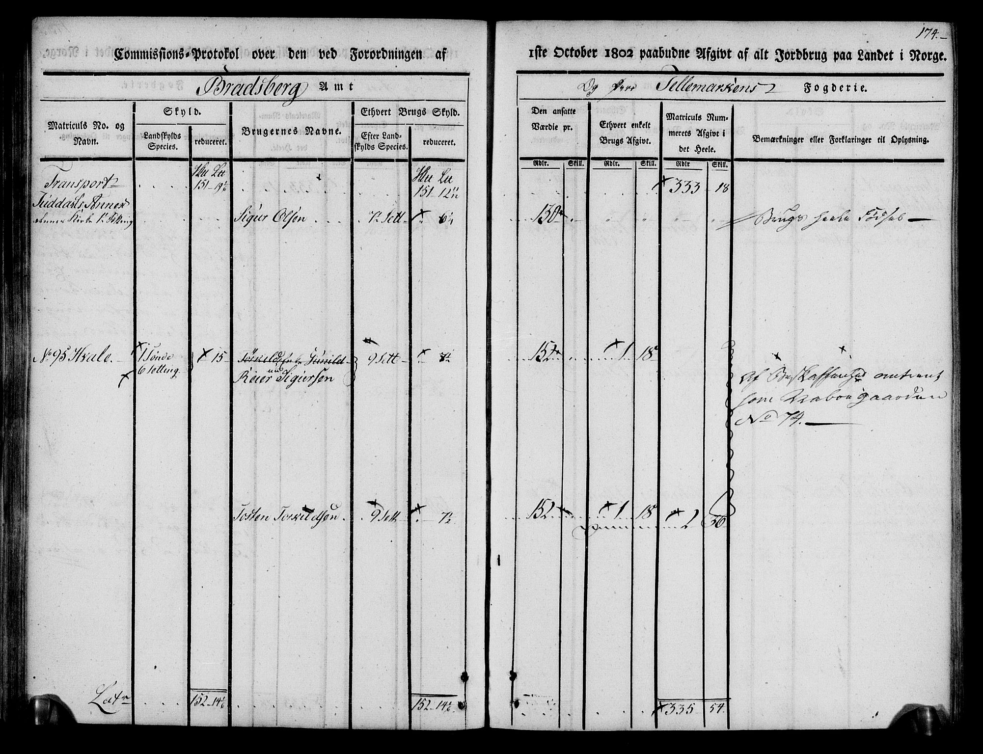 Rentekammeret inntil 1814, Realistisk ordnet avdeling, AV/RA-EA-4070/N/Ne/Nea/L0074: Øvre Telemarken fogderi. Kommisjonsprotokoll for fogderiets østre del - Tinn, Hjartdal og Seljord prestegjeld., 1803, p. 174