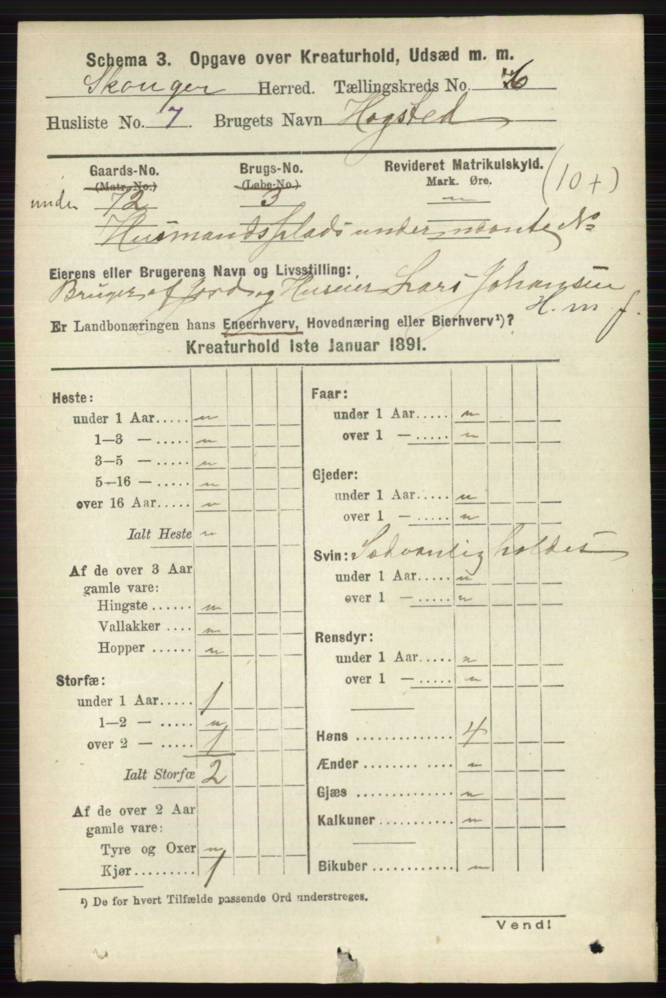 RA, 1891 census for 0712 Skoger, 1891, p. 5201