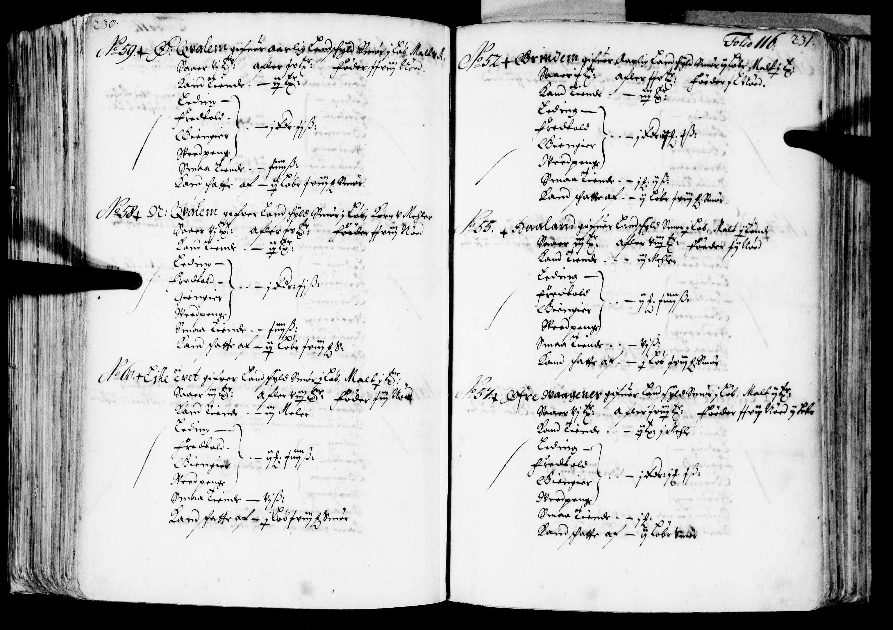 Rentekammeret inntil 1814, Realistisk ordnet avdeling, AV/RA-EA-4070/N/Nb/Nba/L0039: Nordhordland fogderi, 1667, p. 115b-116a