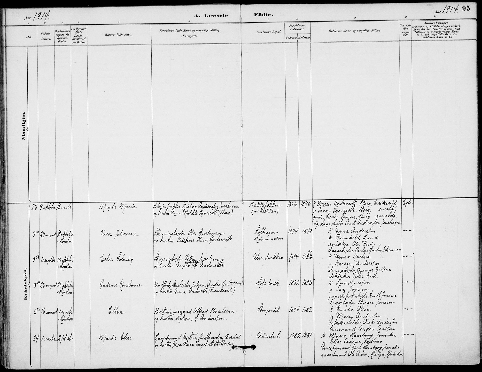 Haug kirkebøker, AV/SAKO-A-604/F/Fa/L0001: Parish register (official) no. 1, 1885-1917, p. 95