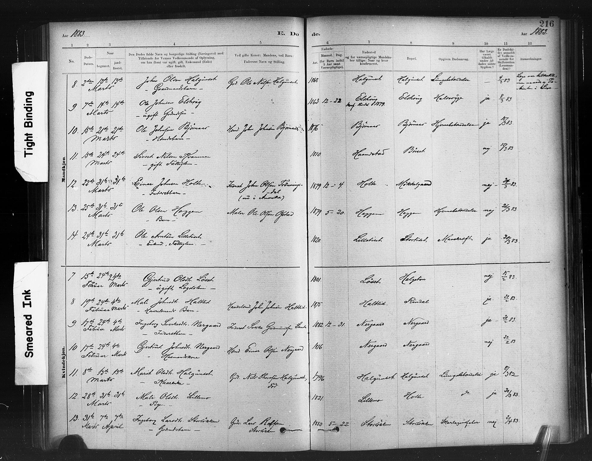 Ministerialprotokoller, klokkerbøker og fødselsregistre - Møre og Romsdal, SAT/A-1454/598/L1069: Parish register (official) no. 598A03, 1882-1895, p. 216