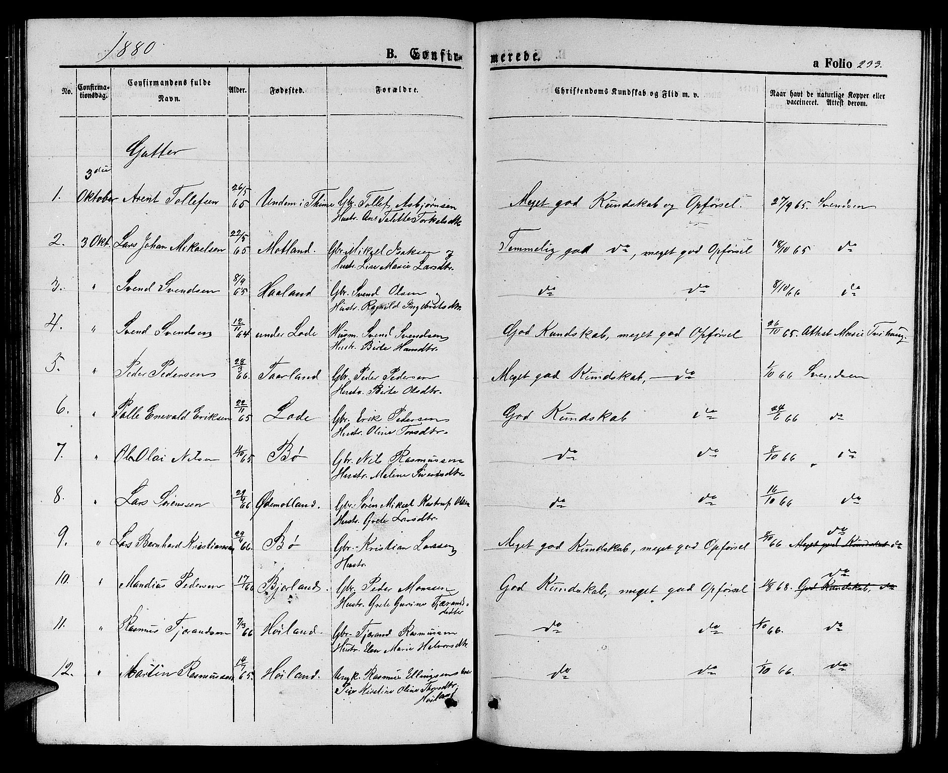 Hå sokneprestkontor, AV/SAST-A-101801/001/30BB/L0001: Parish register (copy) no. B 1, 1854-1883, p. 233